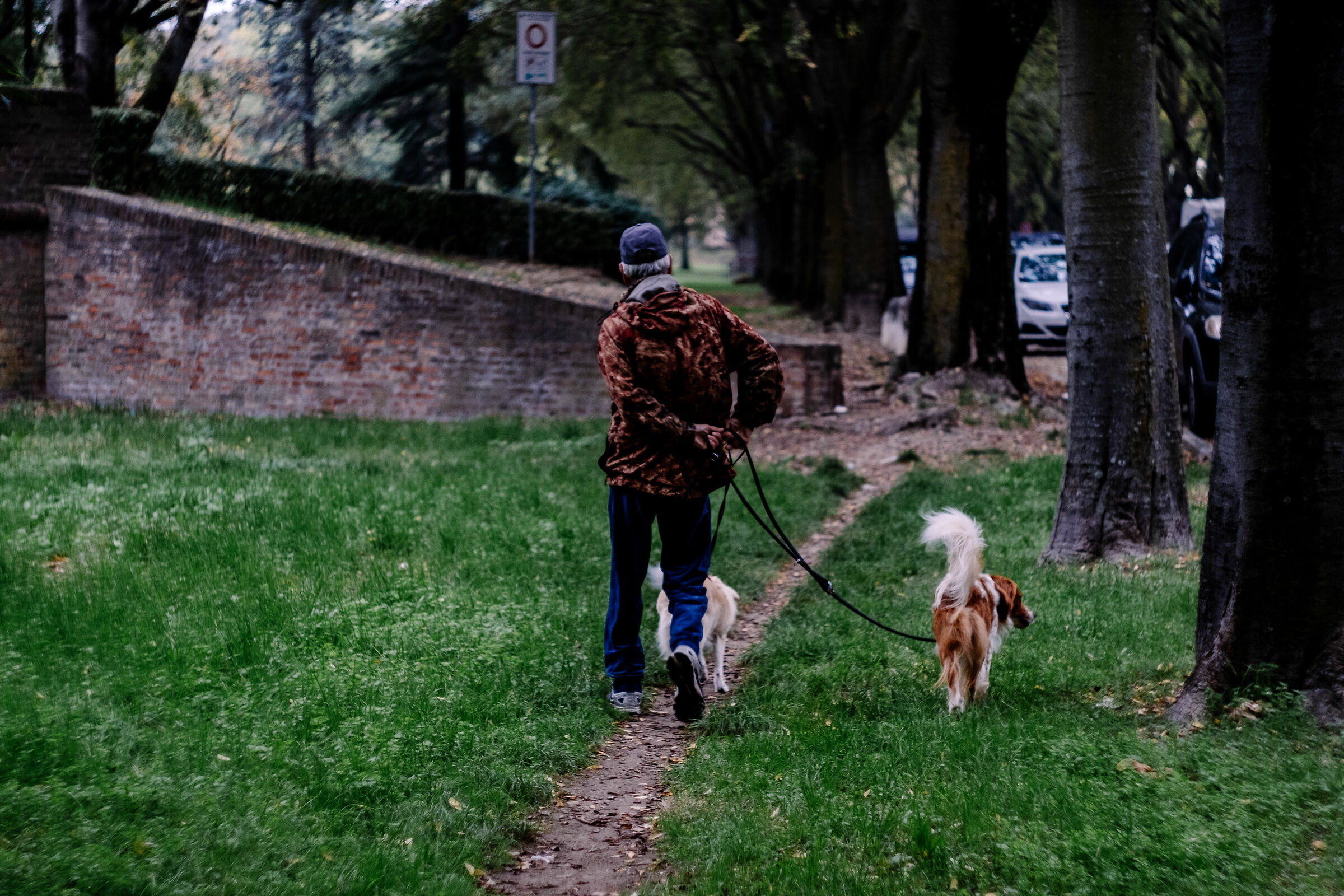 Passeggiata sulle Mura