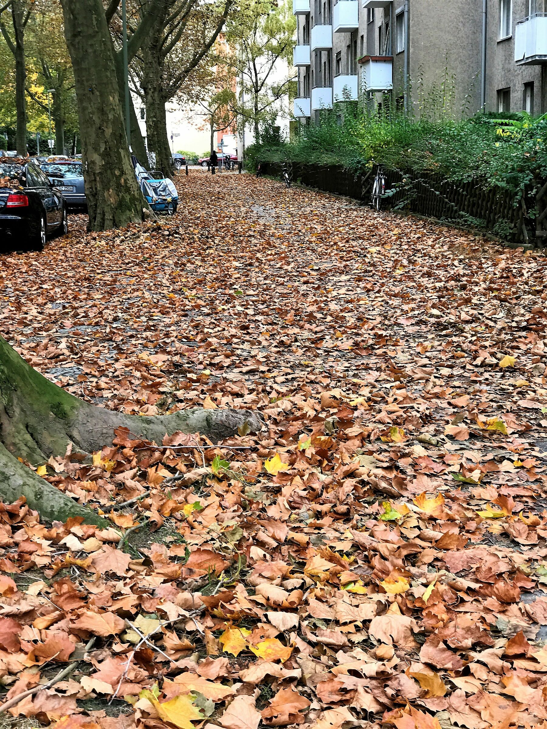 Che bello tornare a casa!