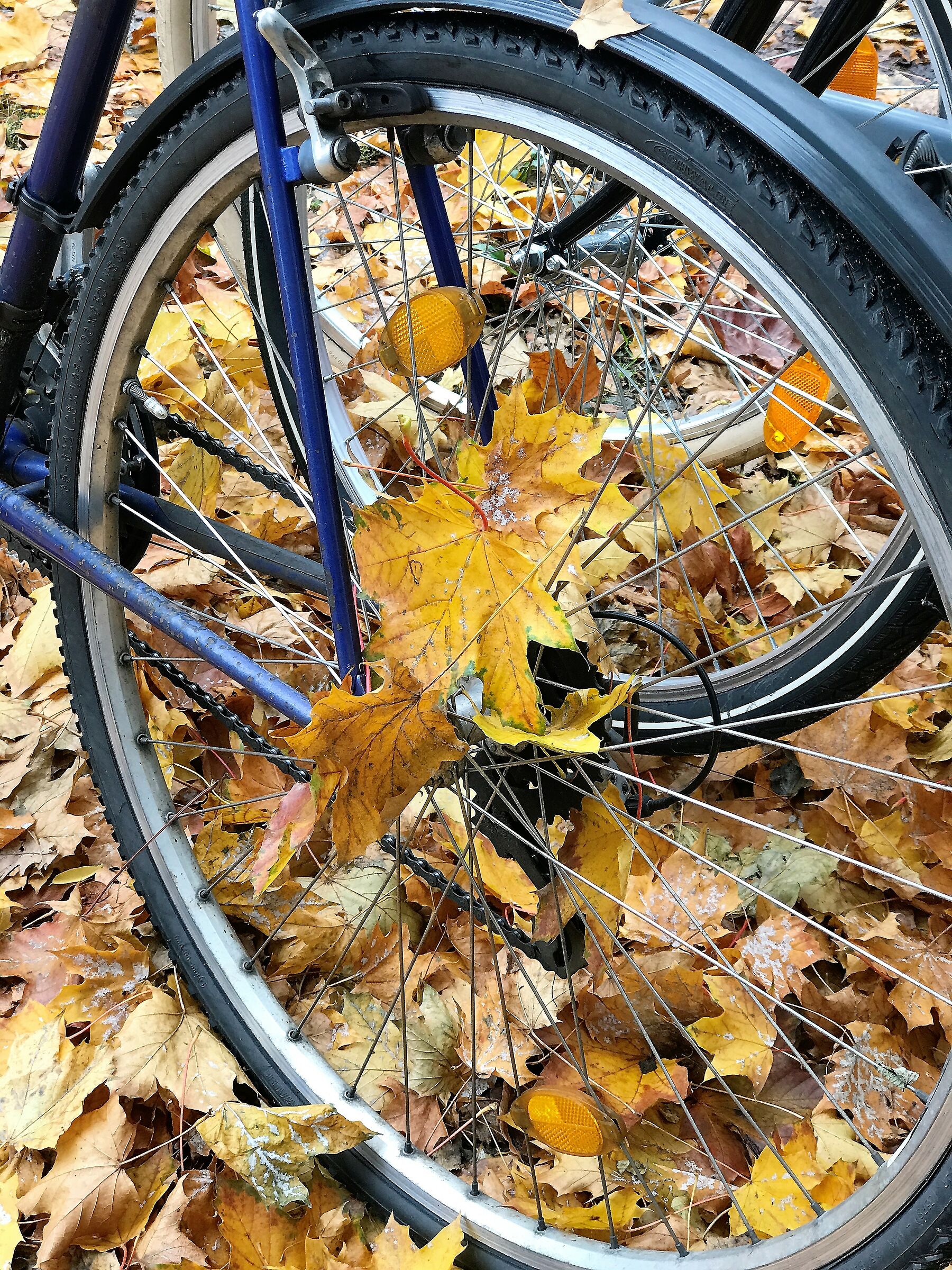 Piacevole accostamento!