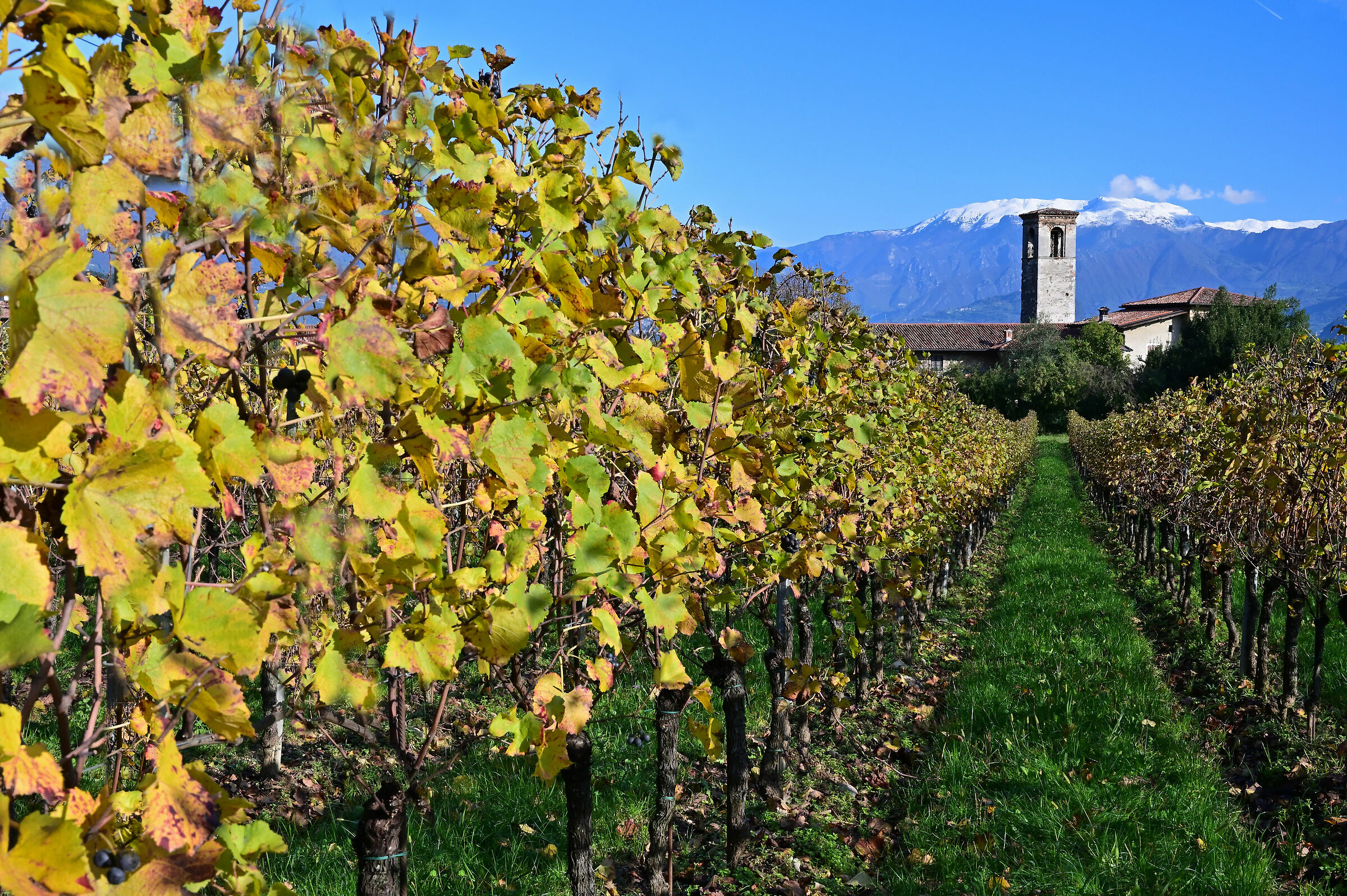 Adro-even this is Franciacorta.