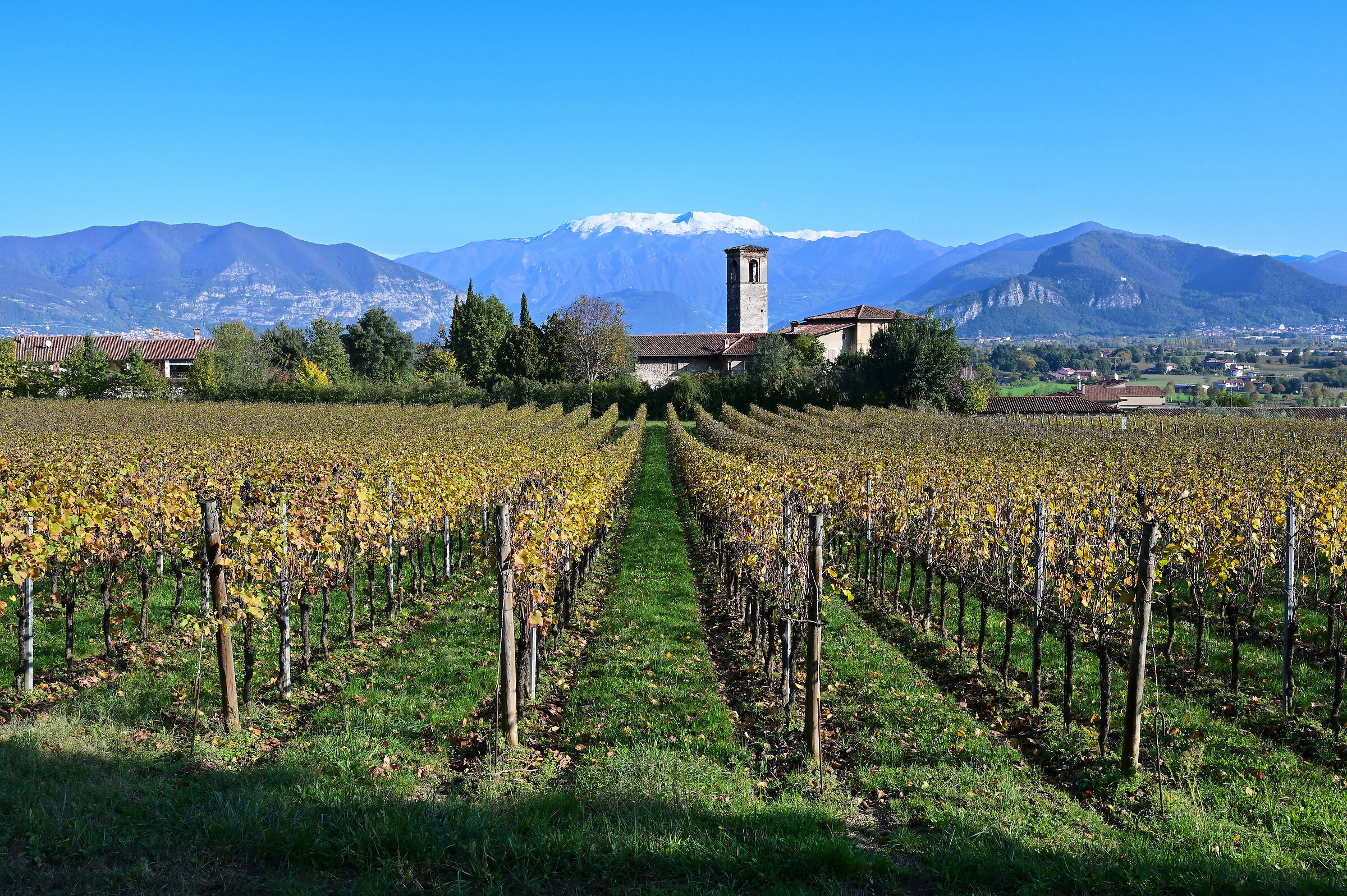 Adro 2-anmche this is Franciacorta.