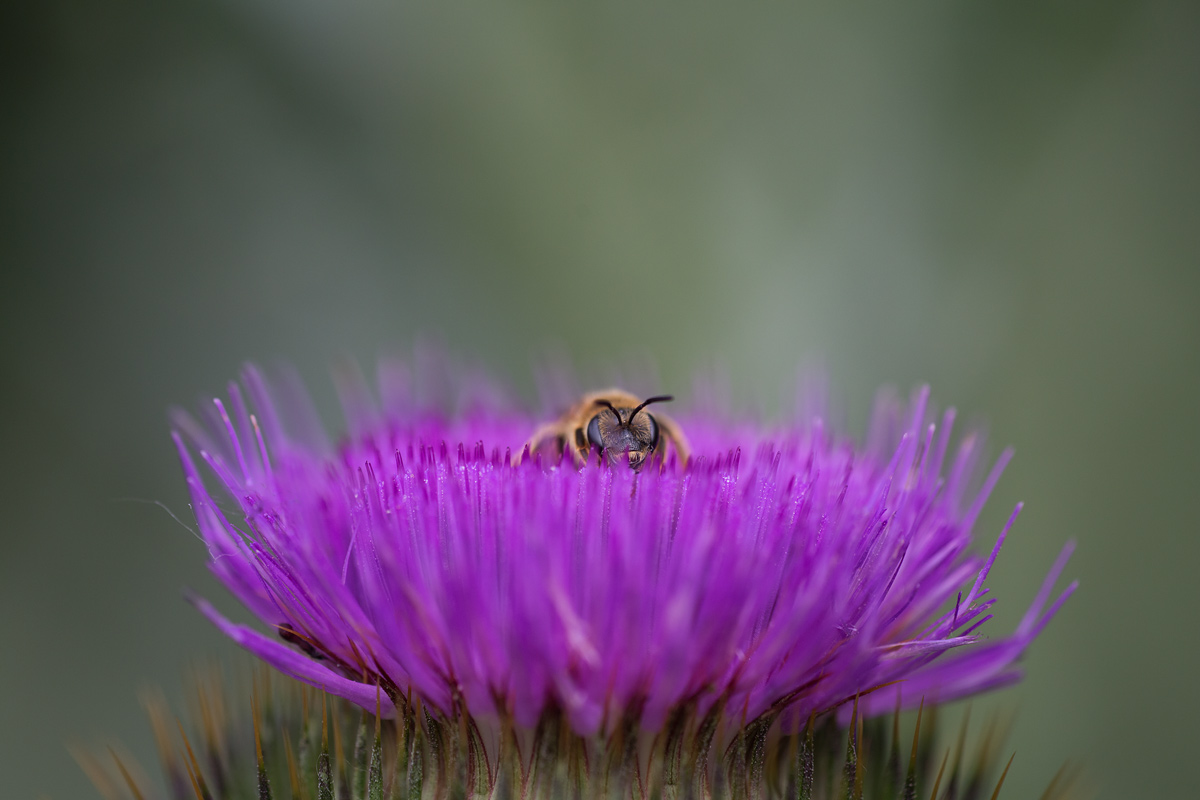 Incontri ravvicinati