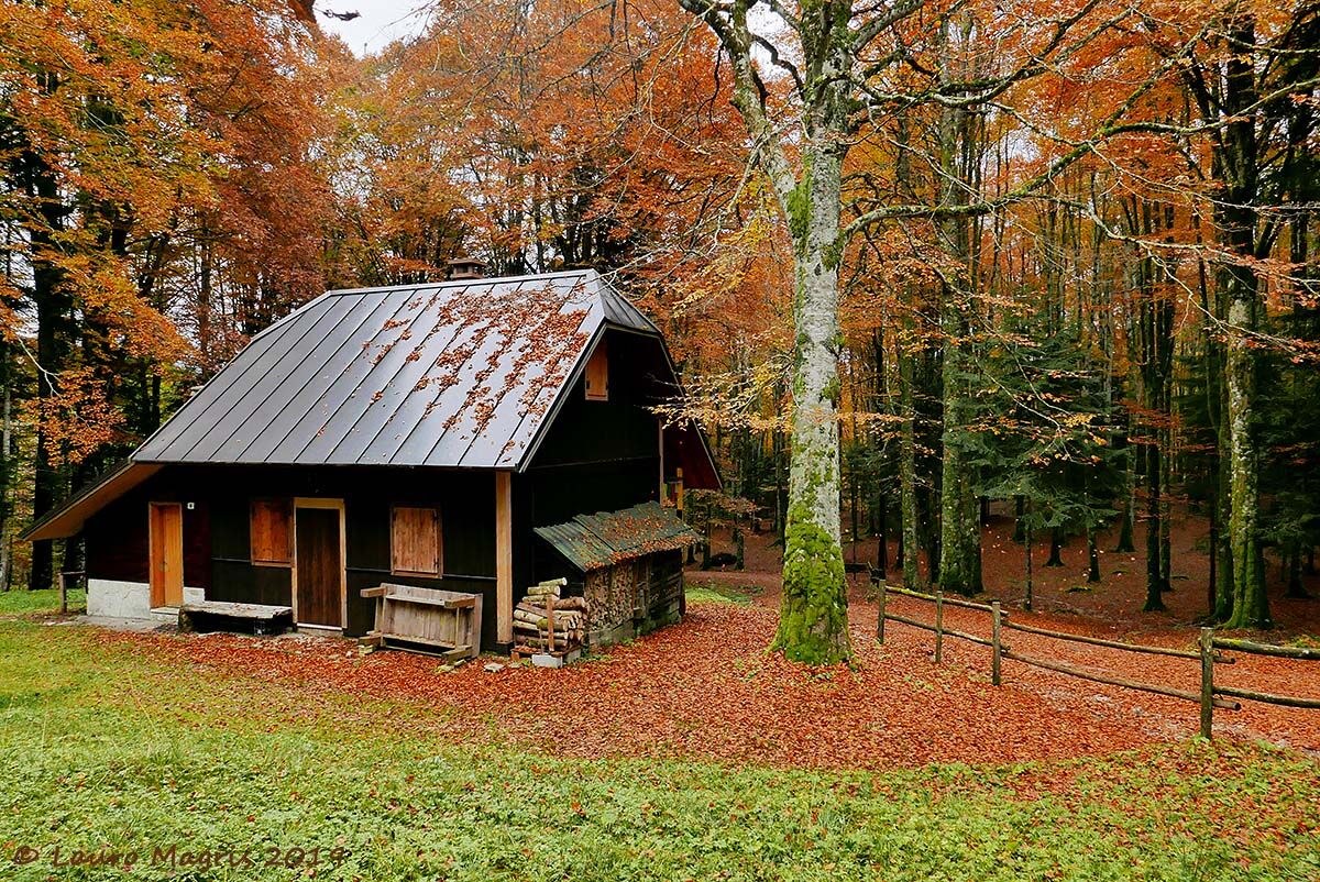 Coriandoli autunnali