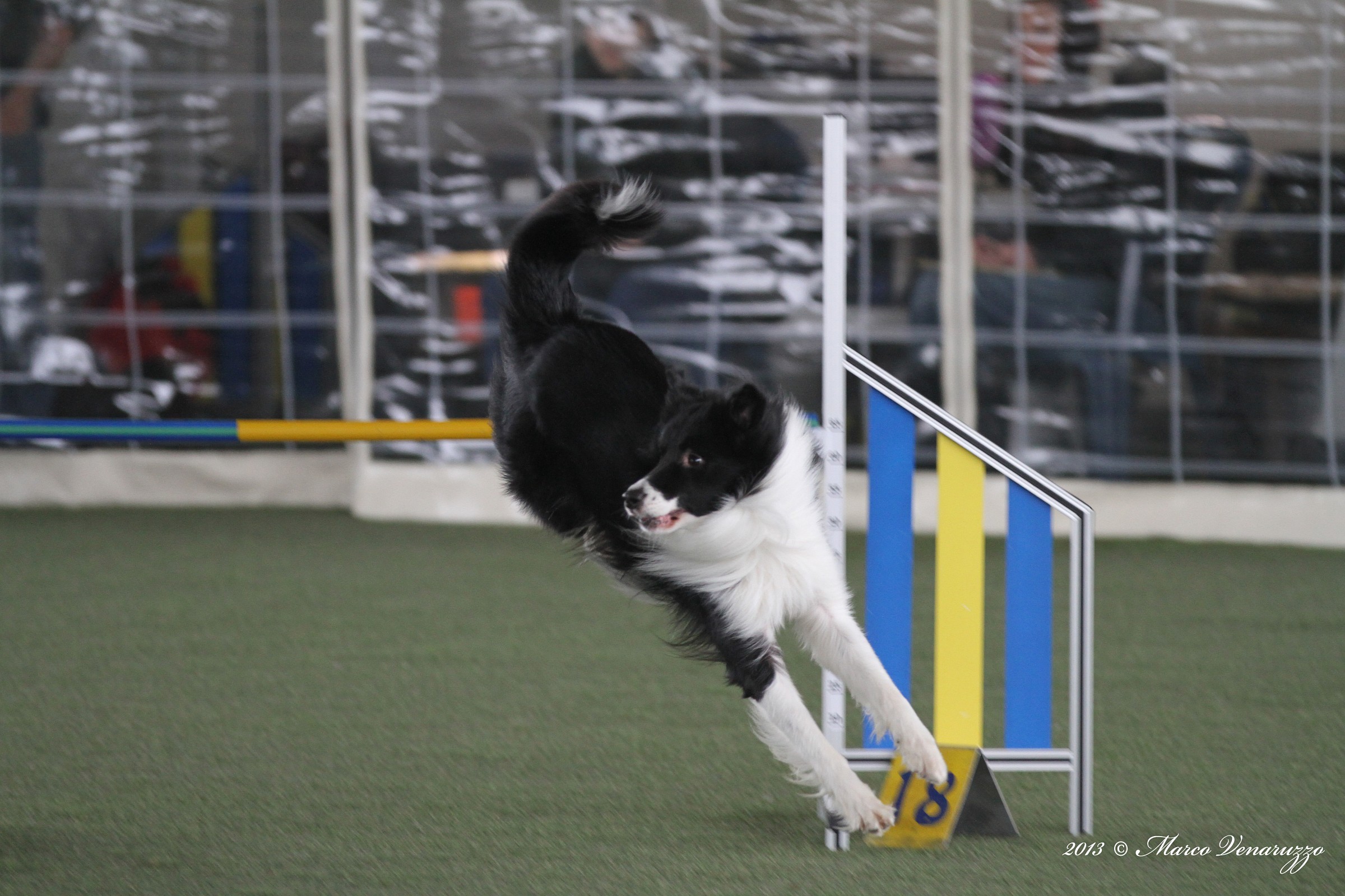 Jumping