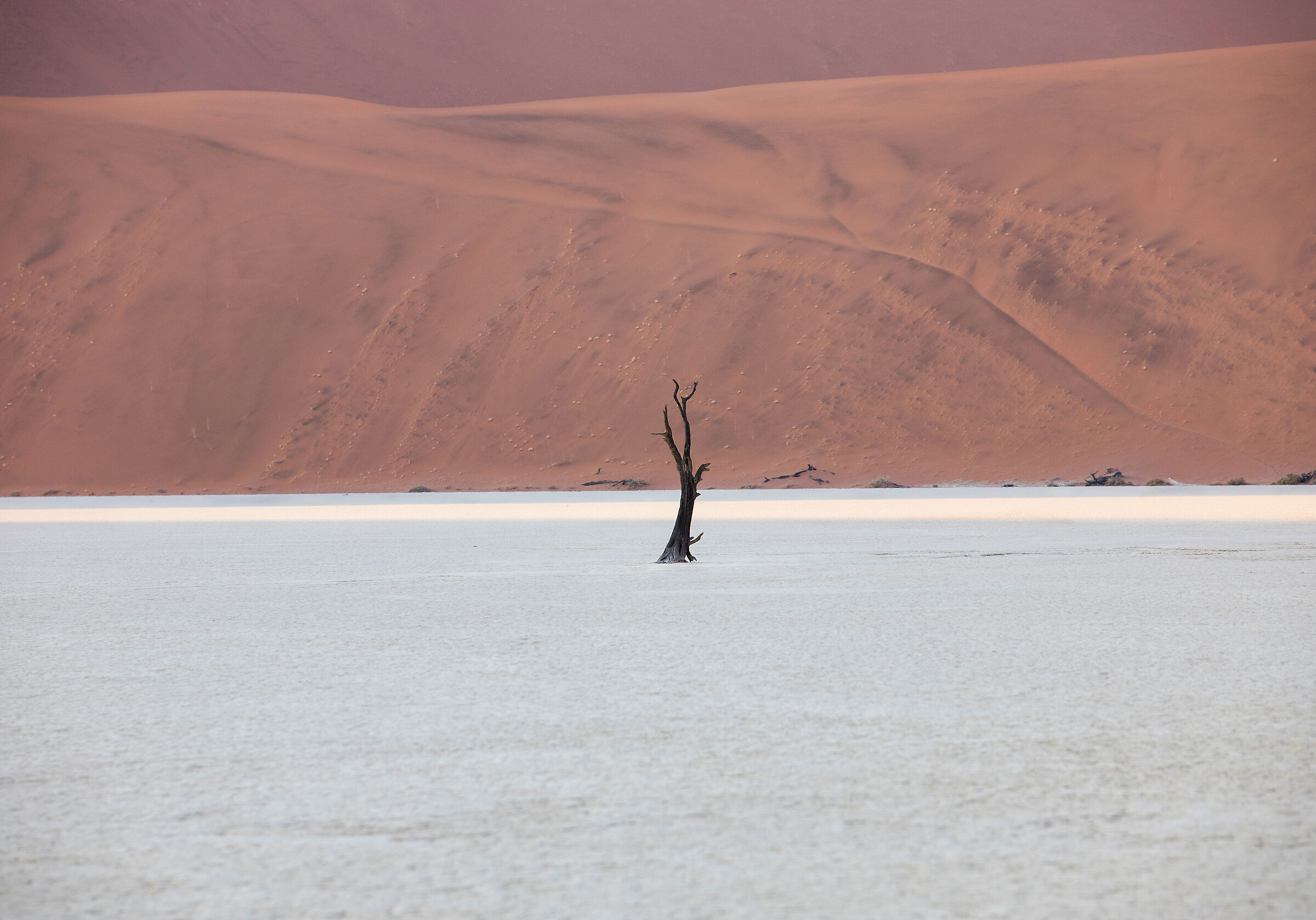 A strip of golden light.