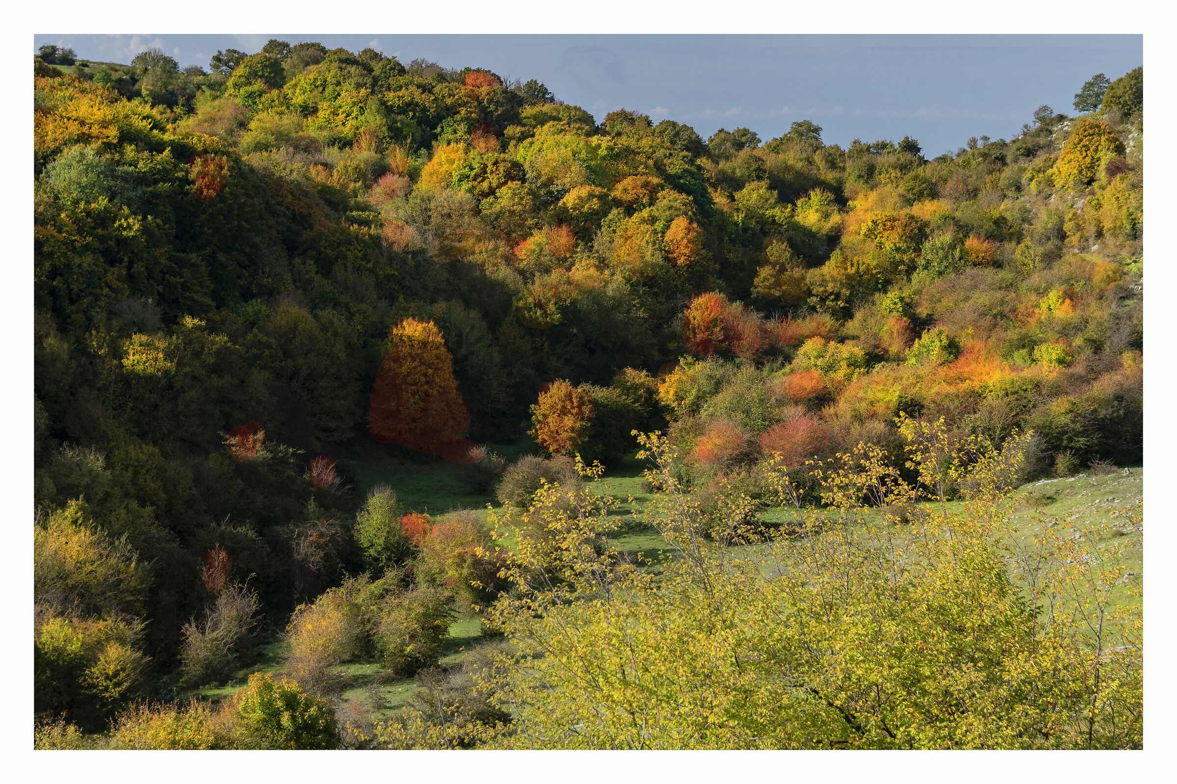La tavolozza naturale