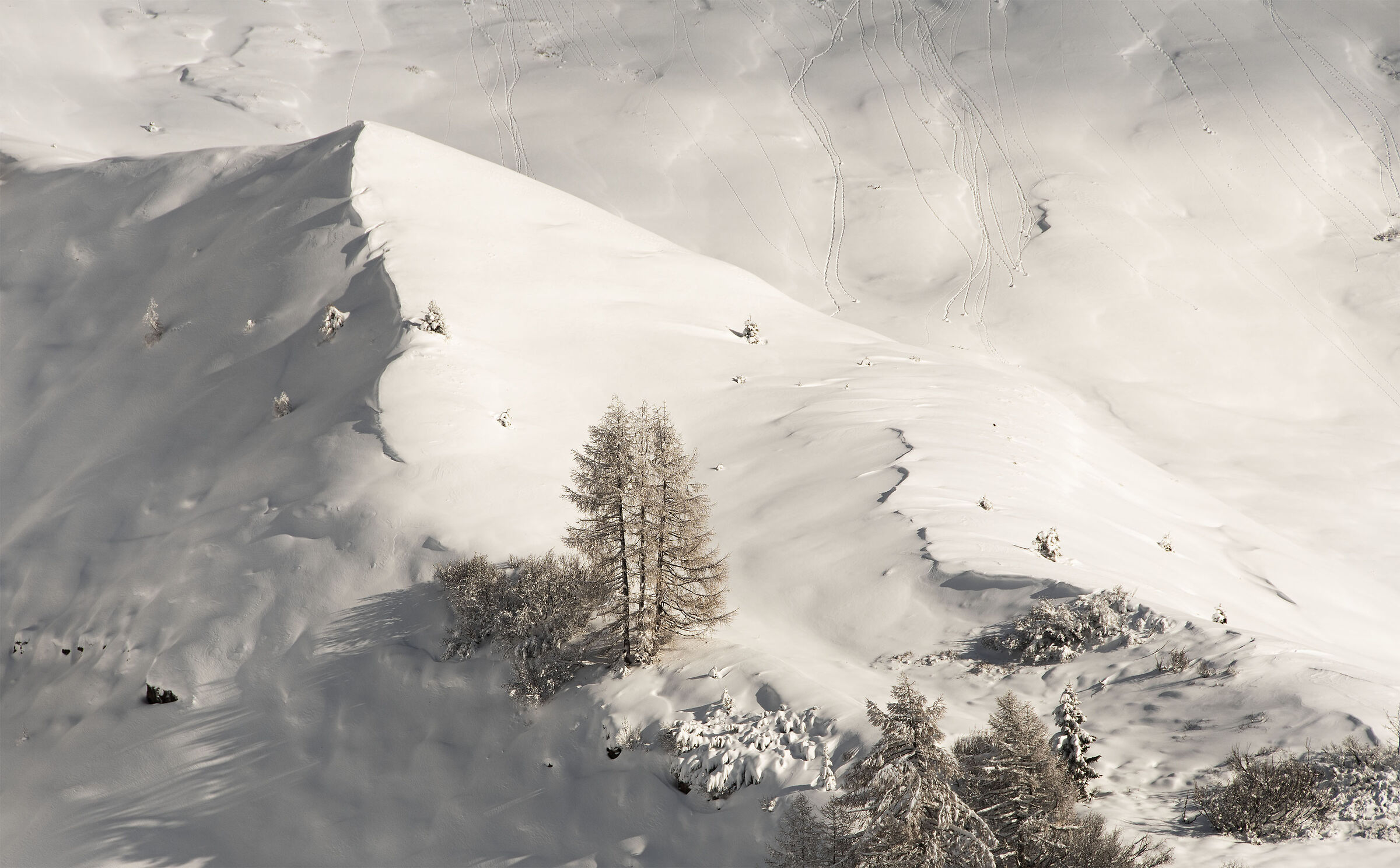 La prima neve a Passo Rolle