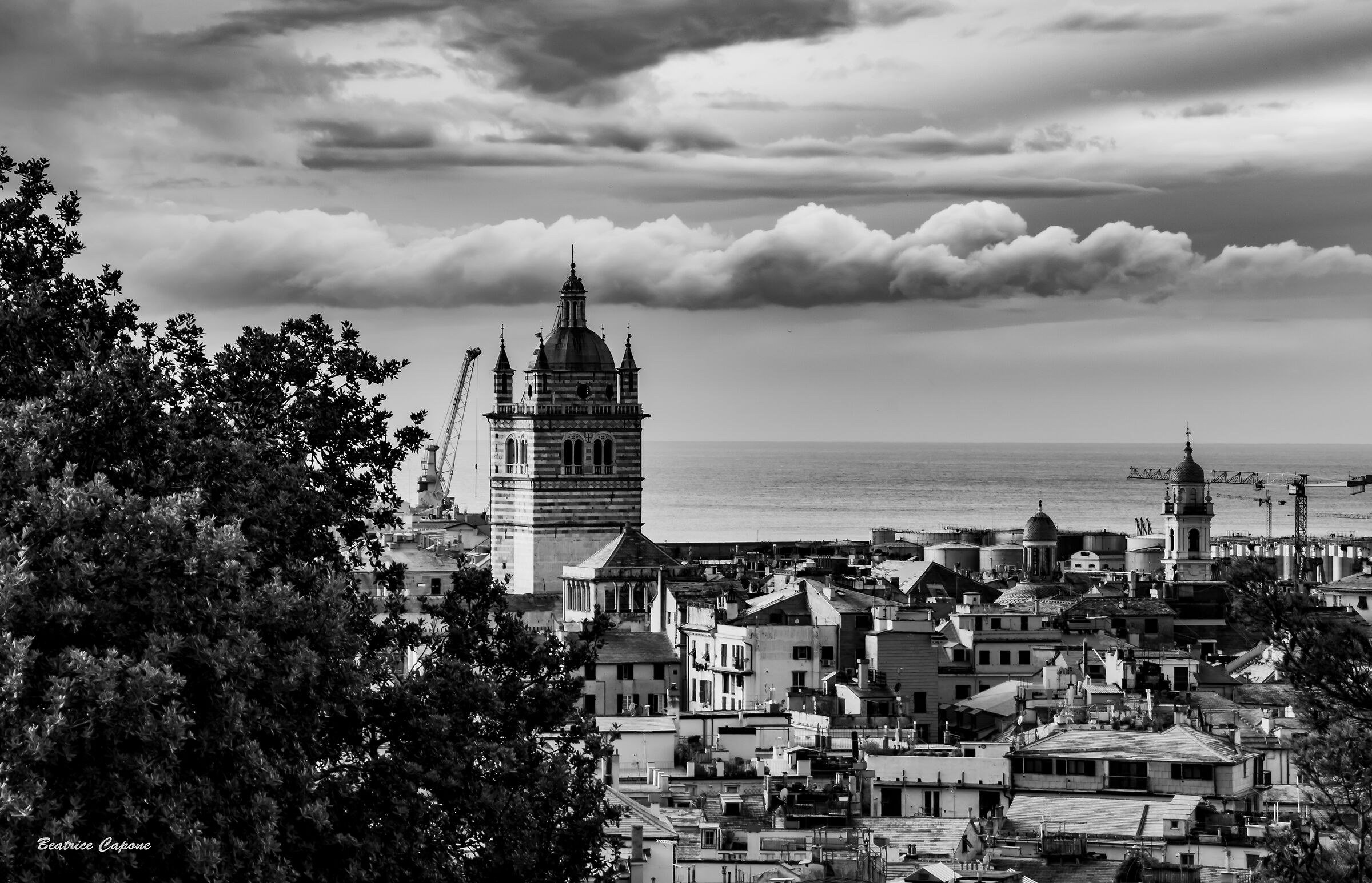 Campanile della Cattedrale di San Lorenzo (Ge)
