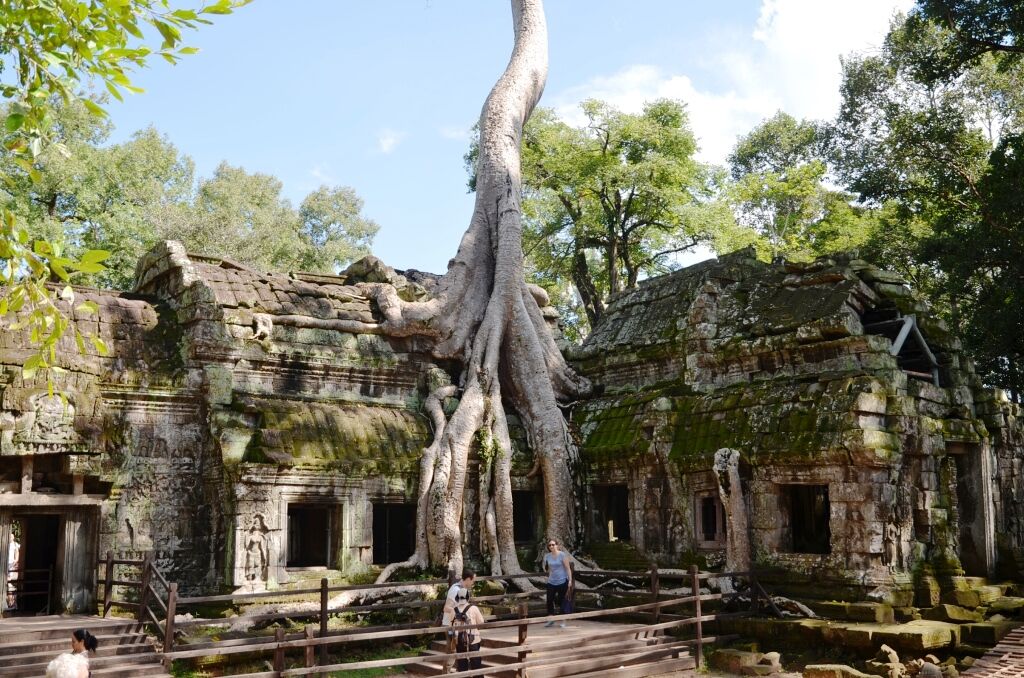 Ta Prohm