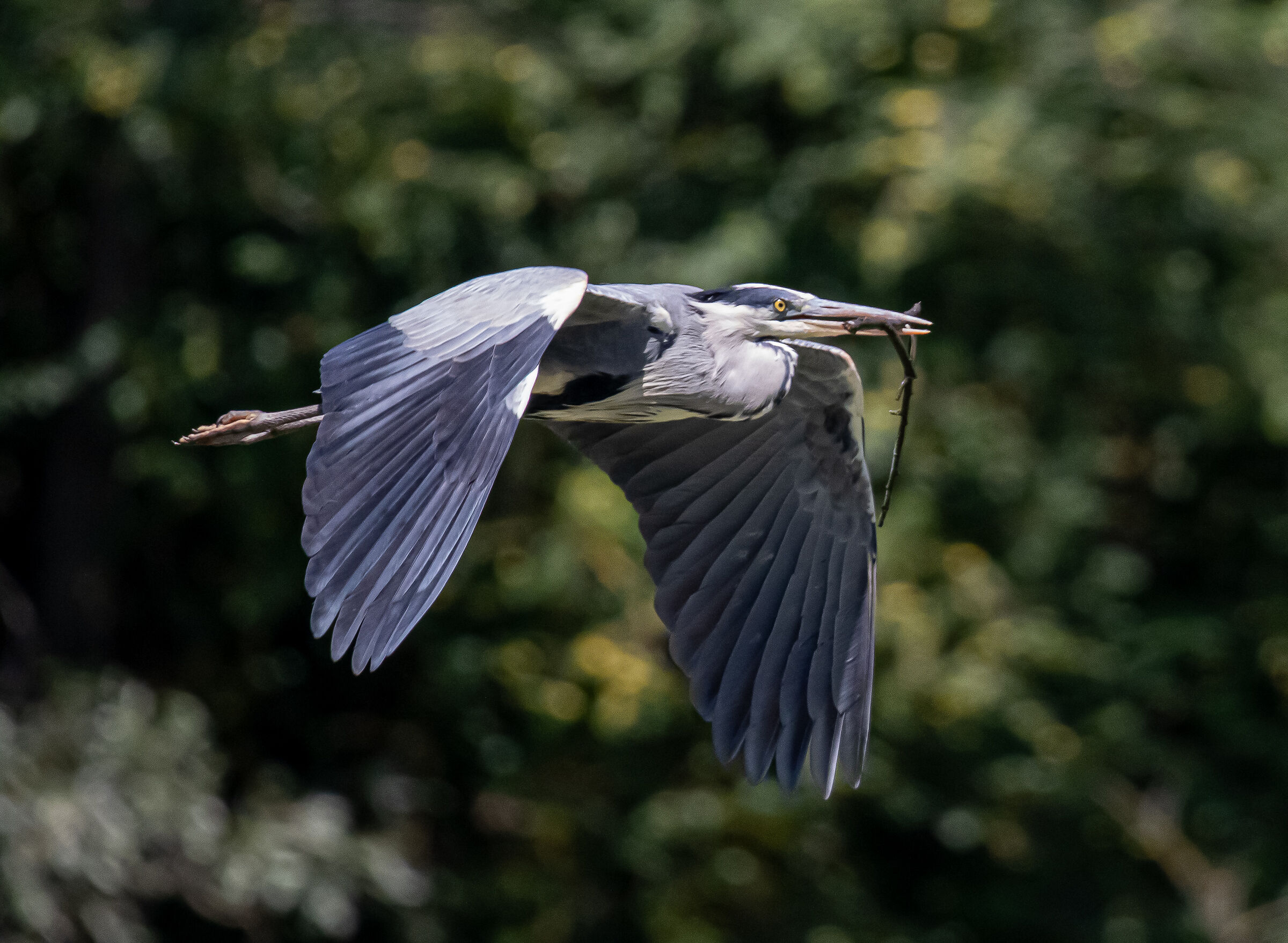 Construction company