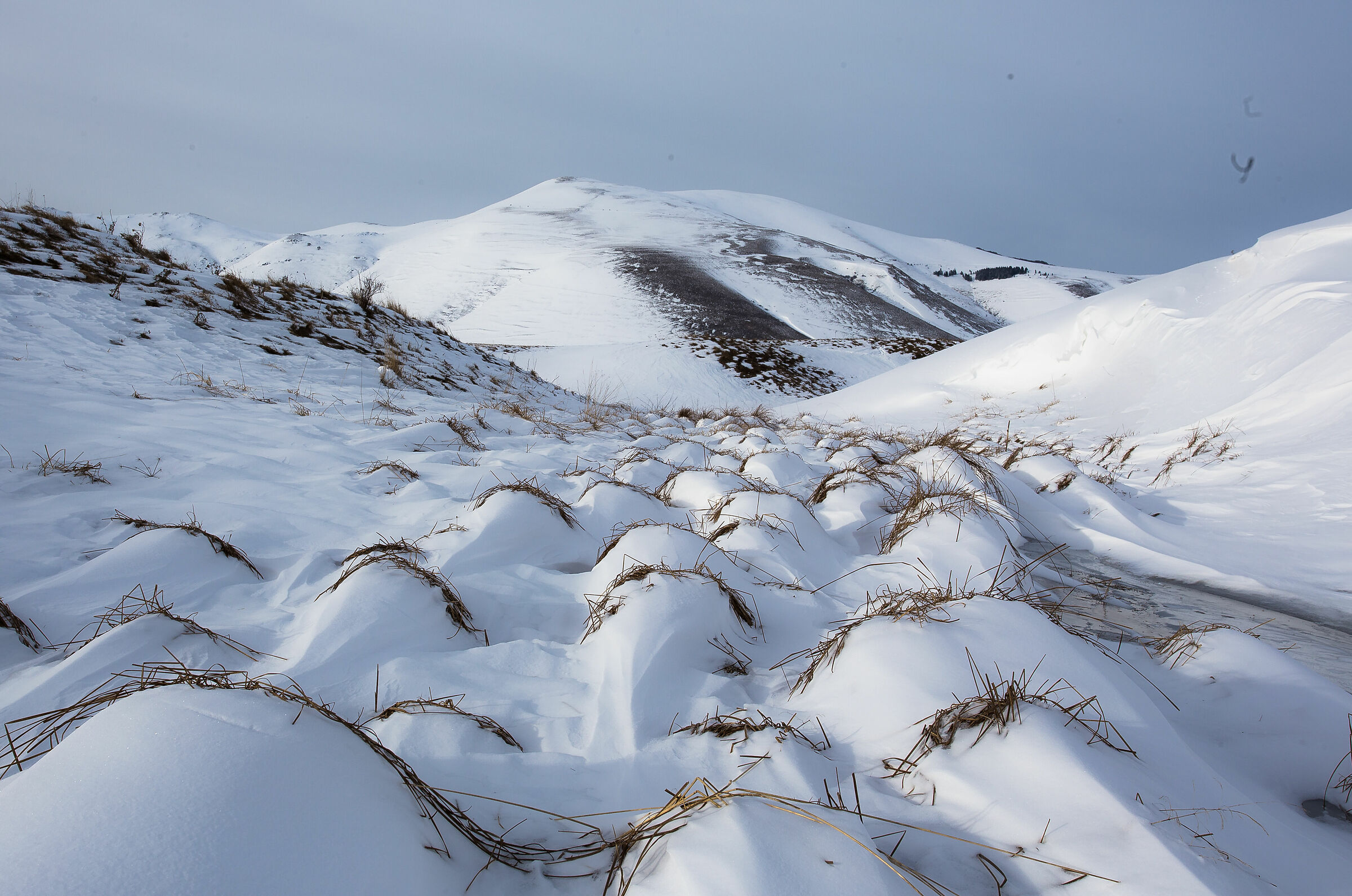 Castelluccio di Norcia
