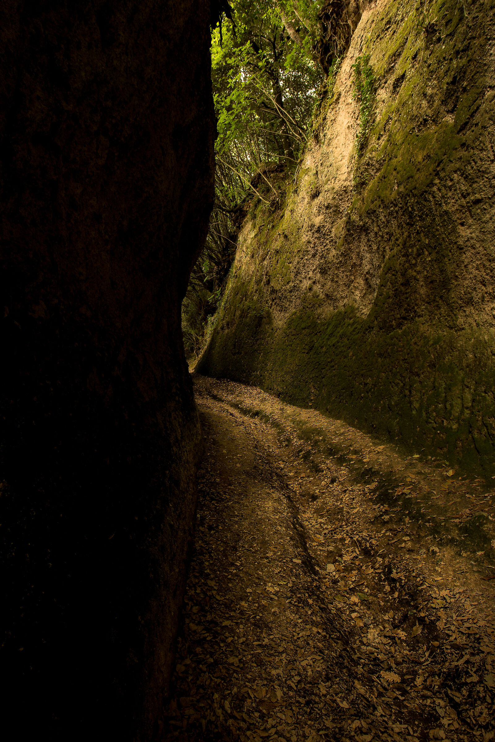 Vie Cave, Pitigliano