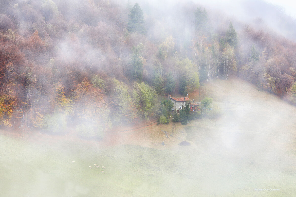 Nebbia d'autunno