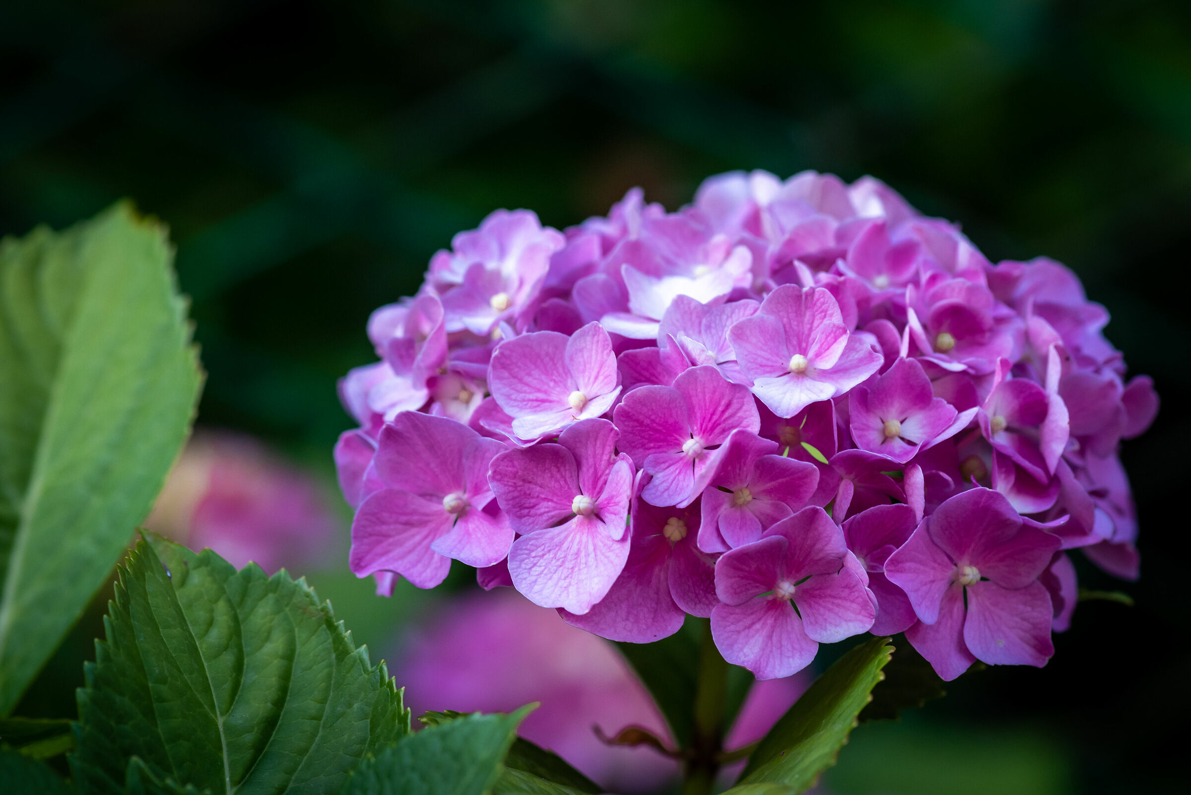 Untitled Photo