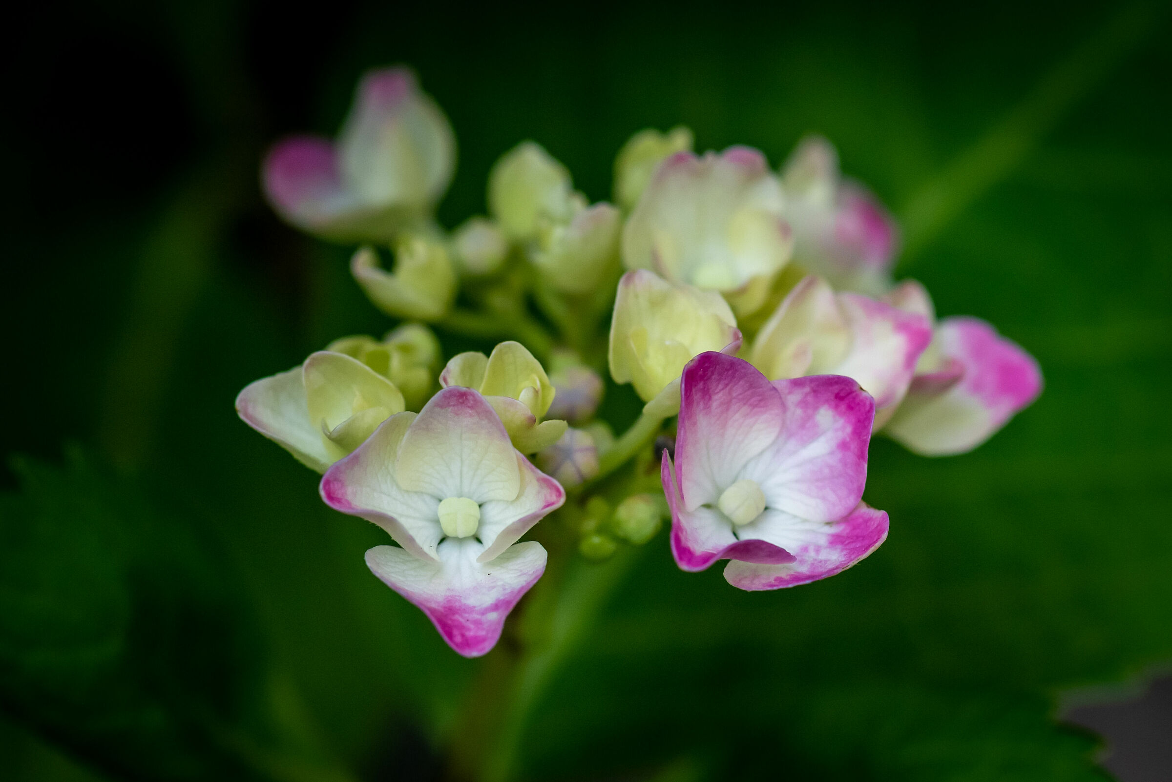 Untitled Photo