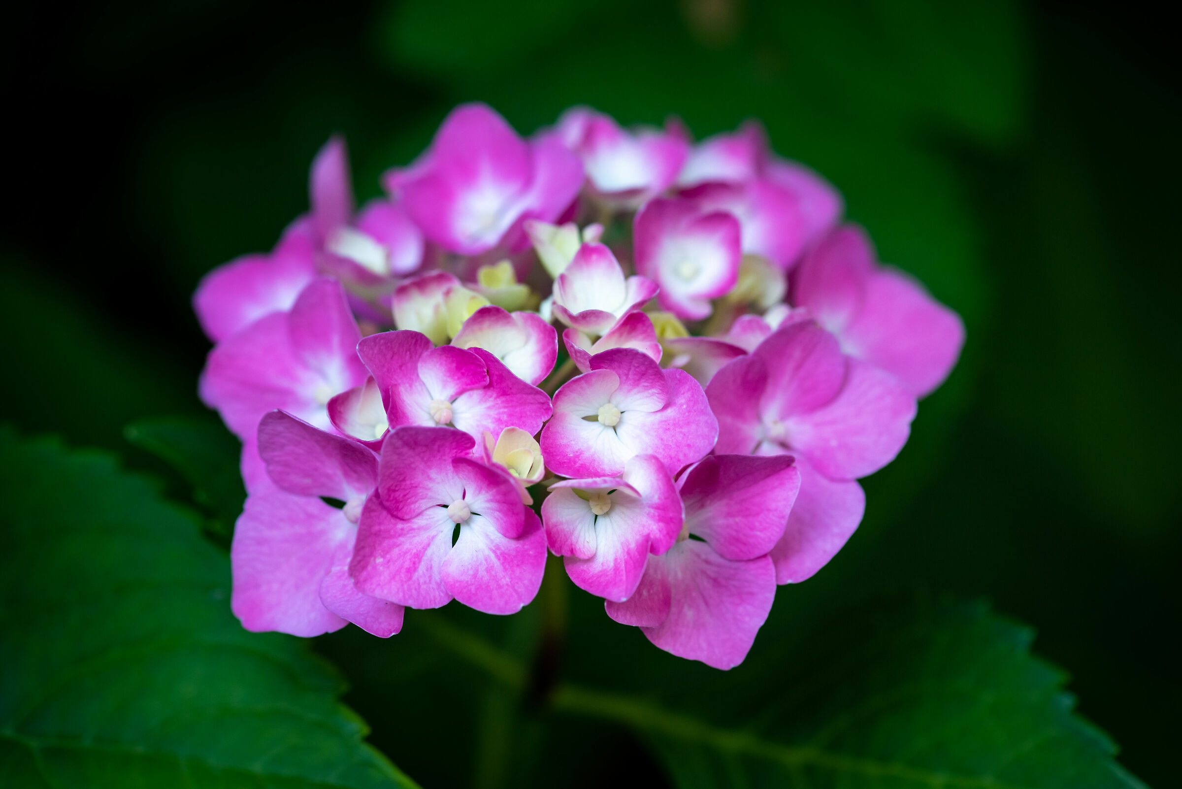 Untitled Photo