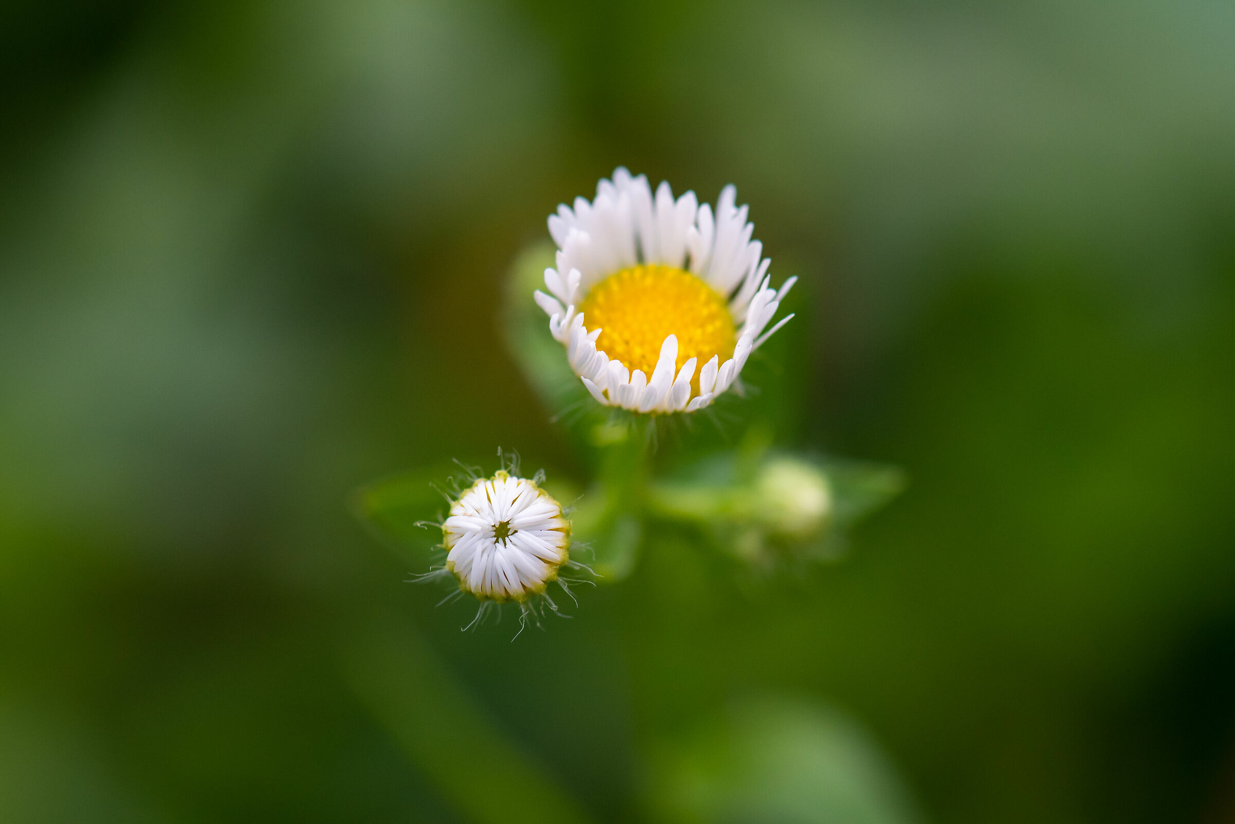 Untitled Photo