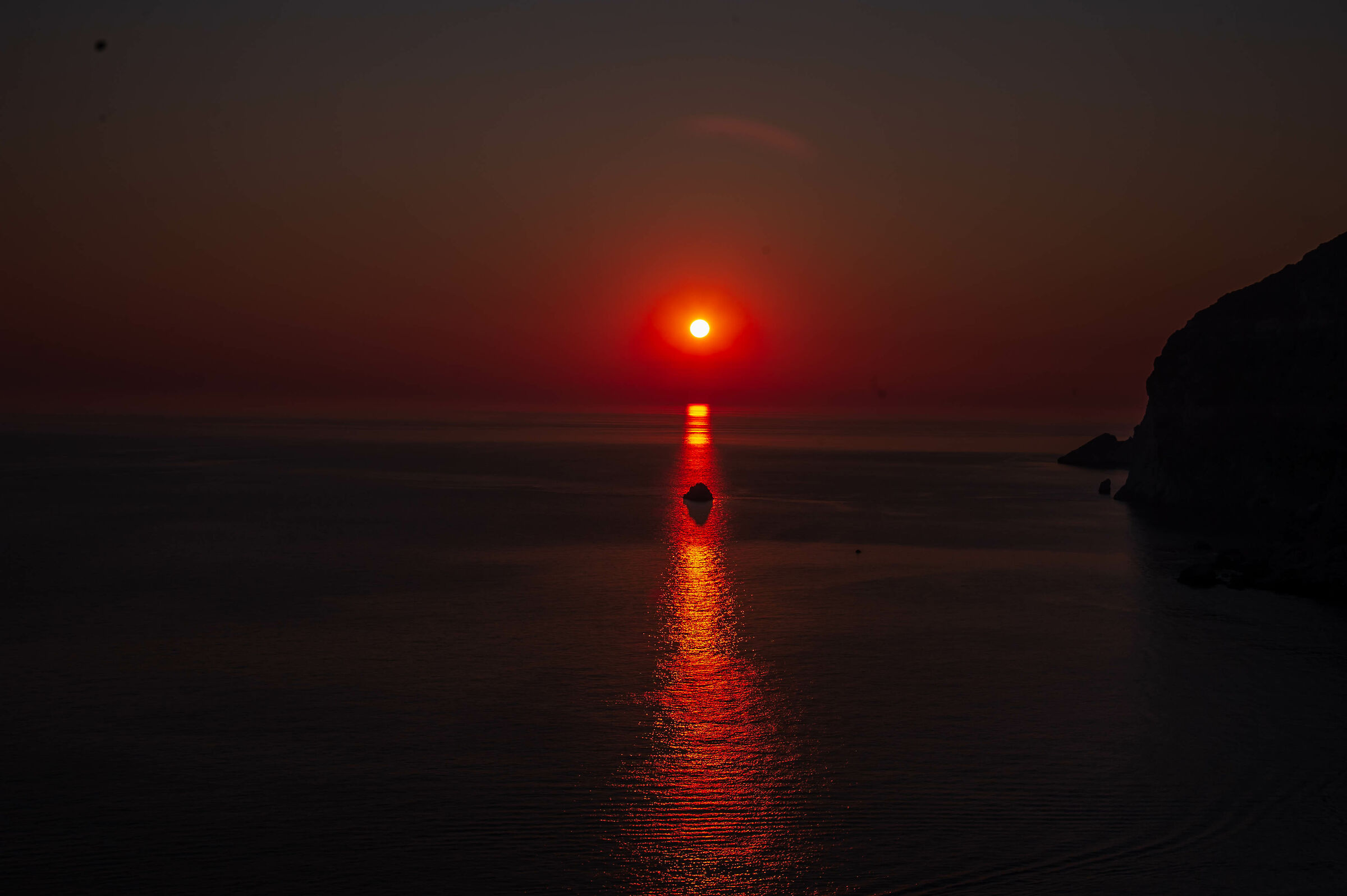 Untitled Photo