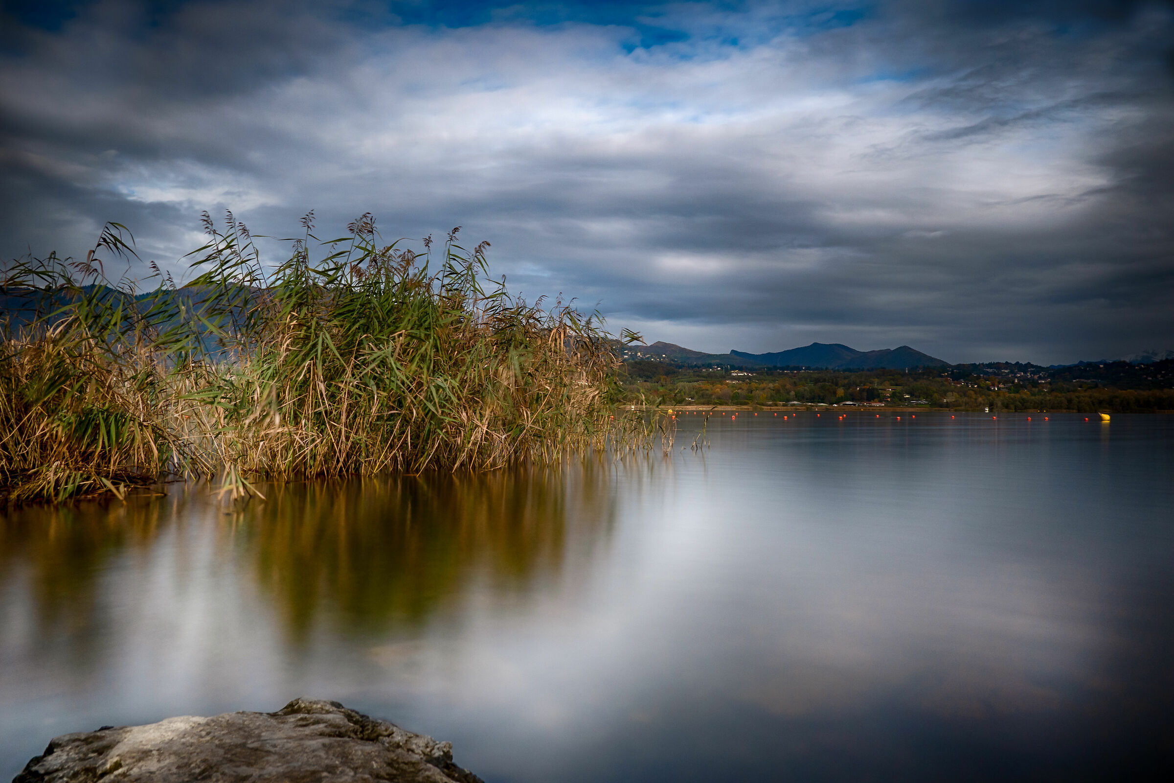 Untitled Photo