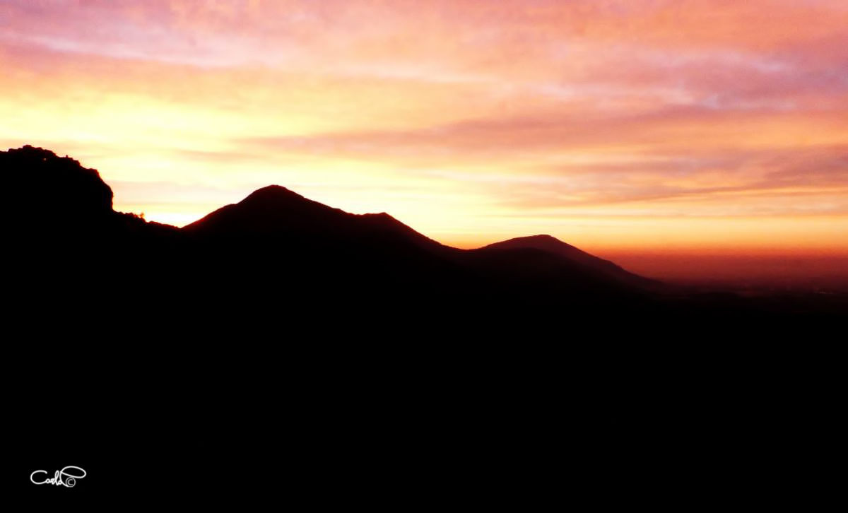 ..la bella addormentata!!