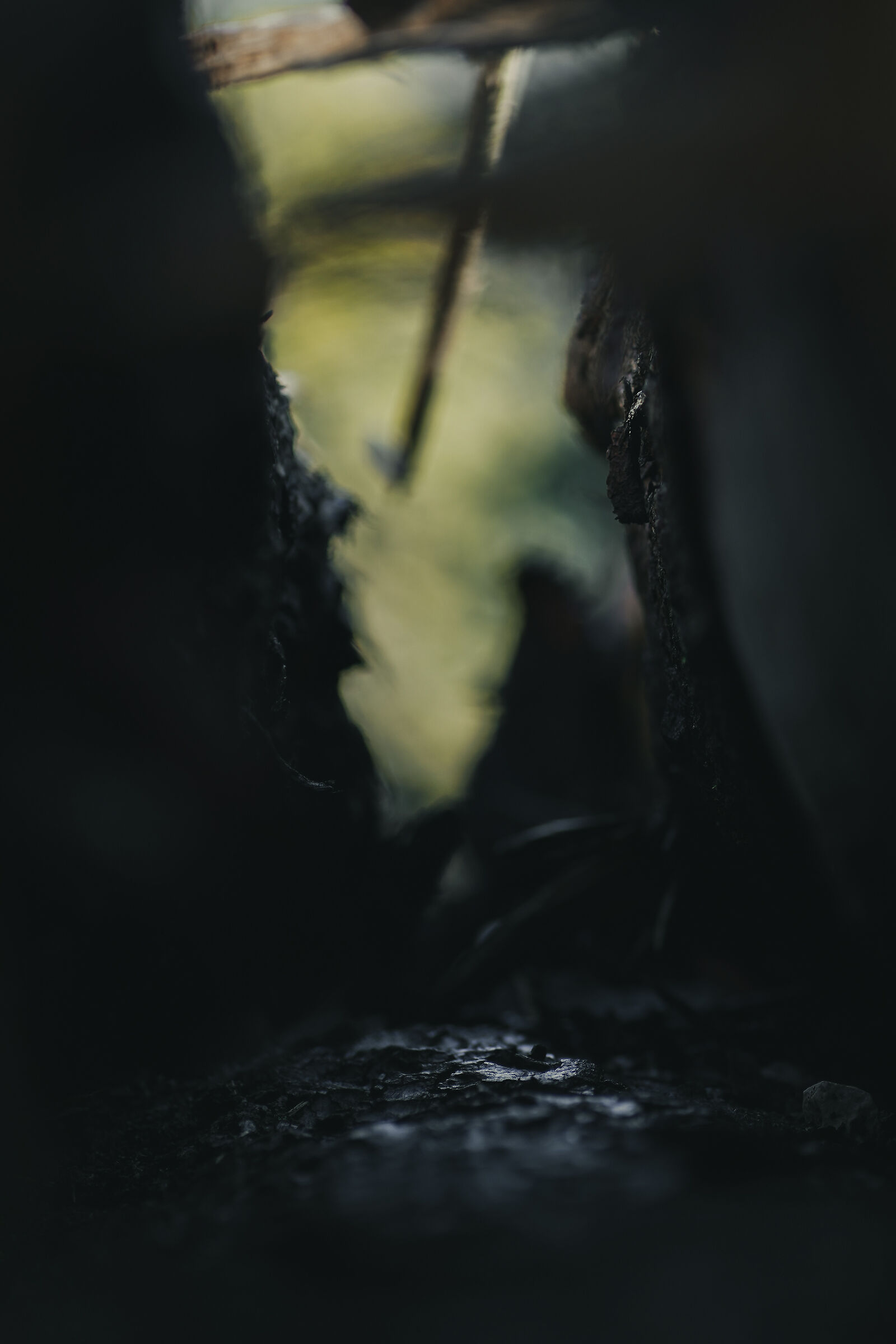 Highway to Extinction