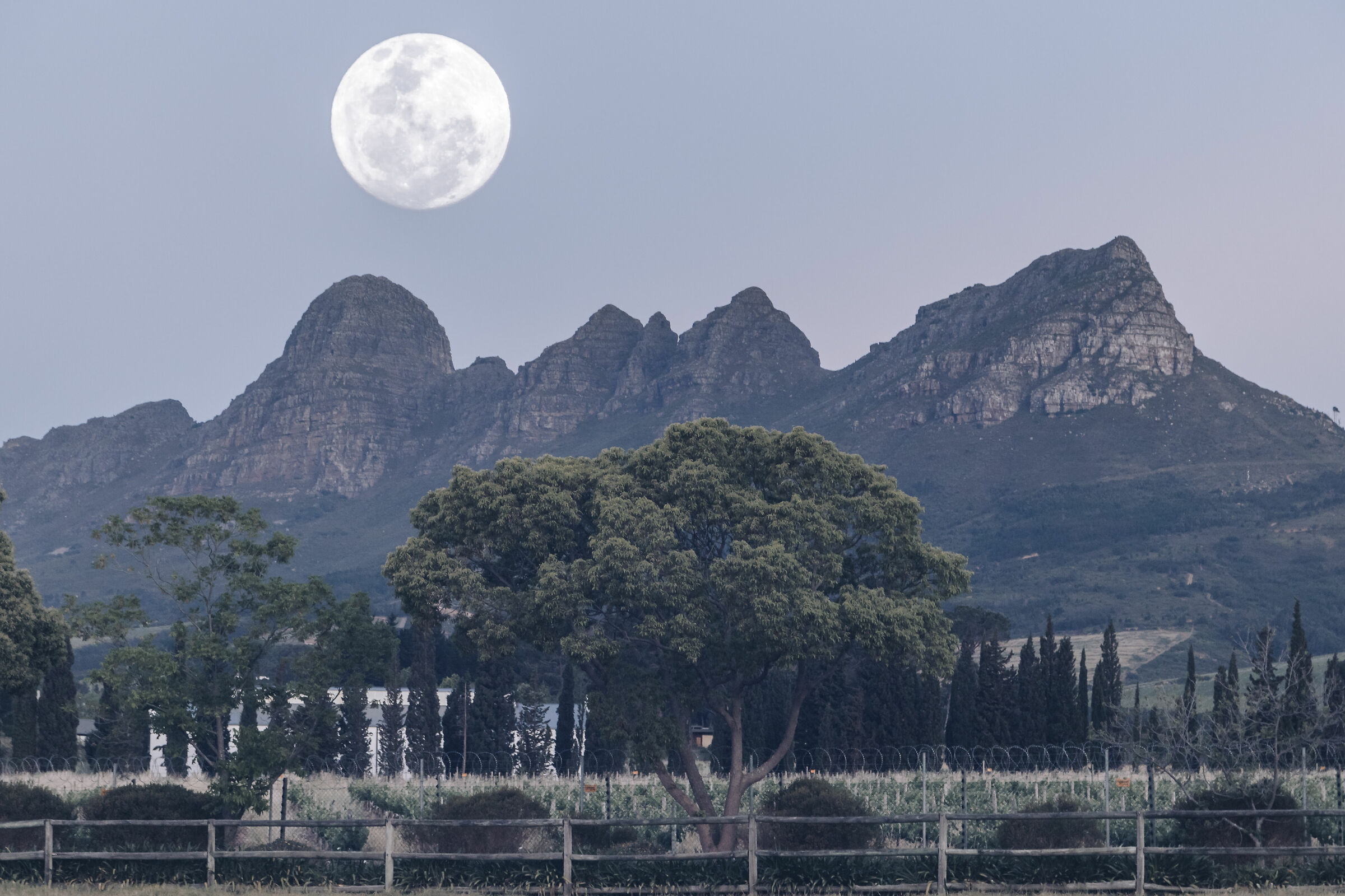 double exposure. Stellenbosh, Hampshire