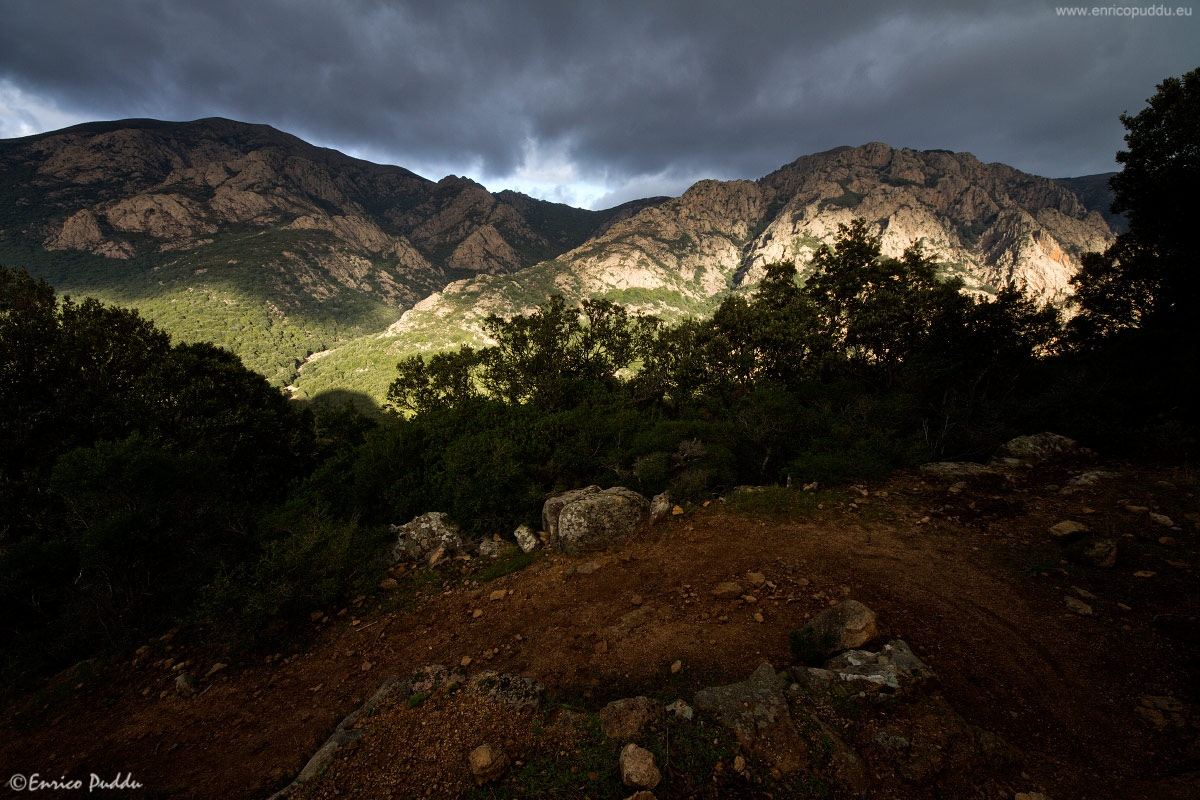 The path and its 113 views