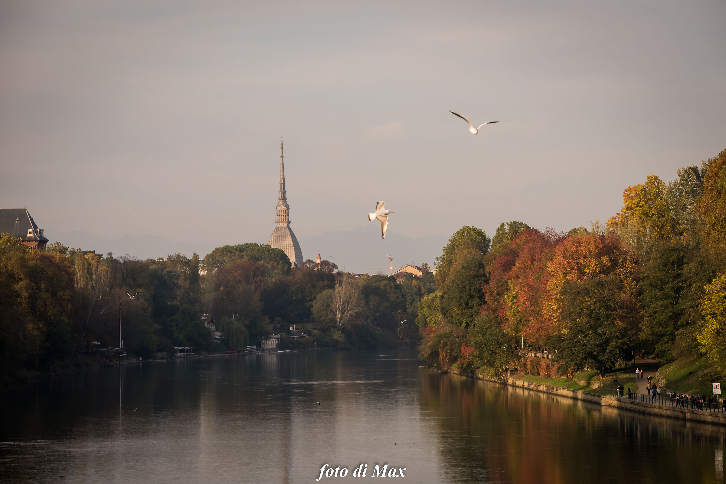 Lungo il  PO in autunno