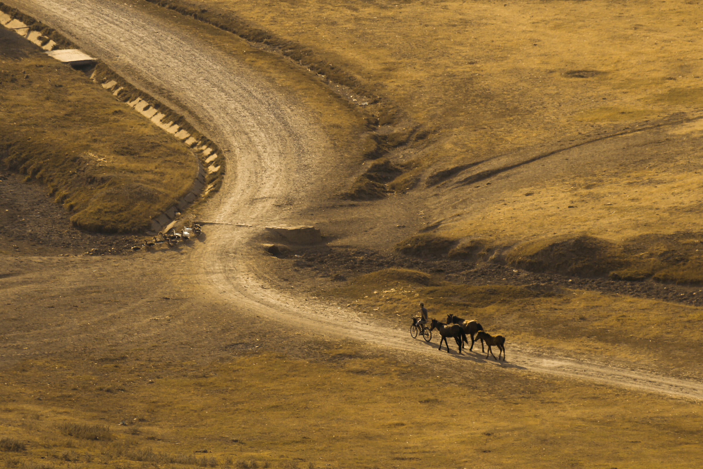 La strada di ritorno