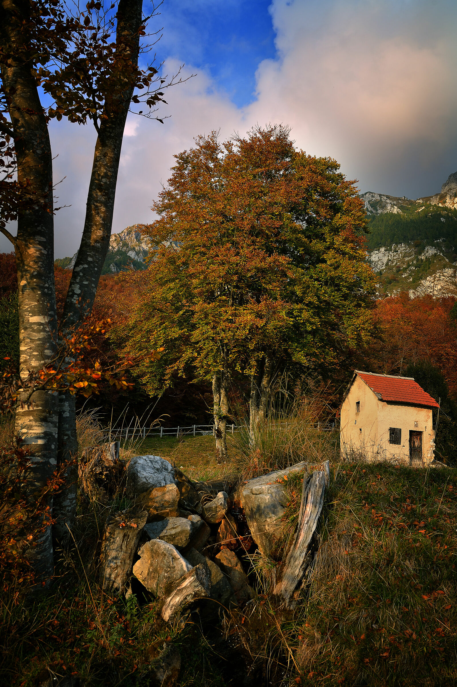 Val Formosa