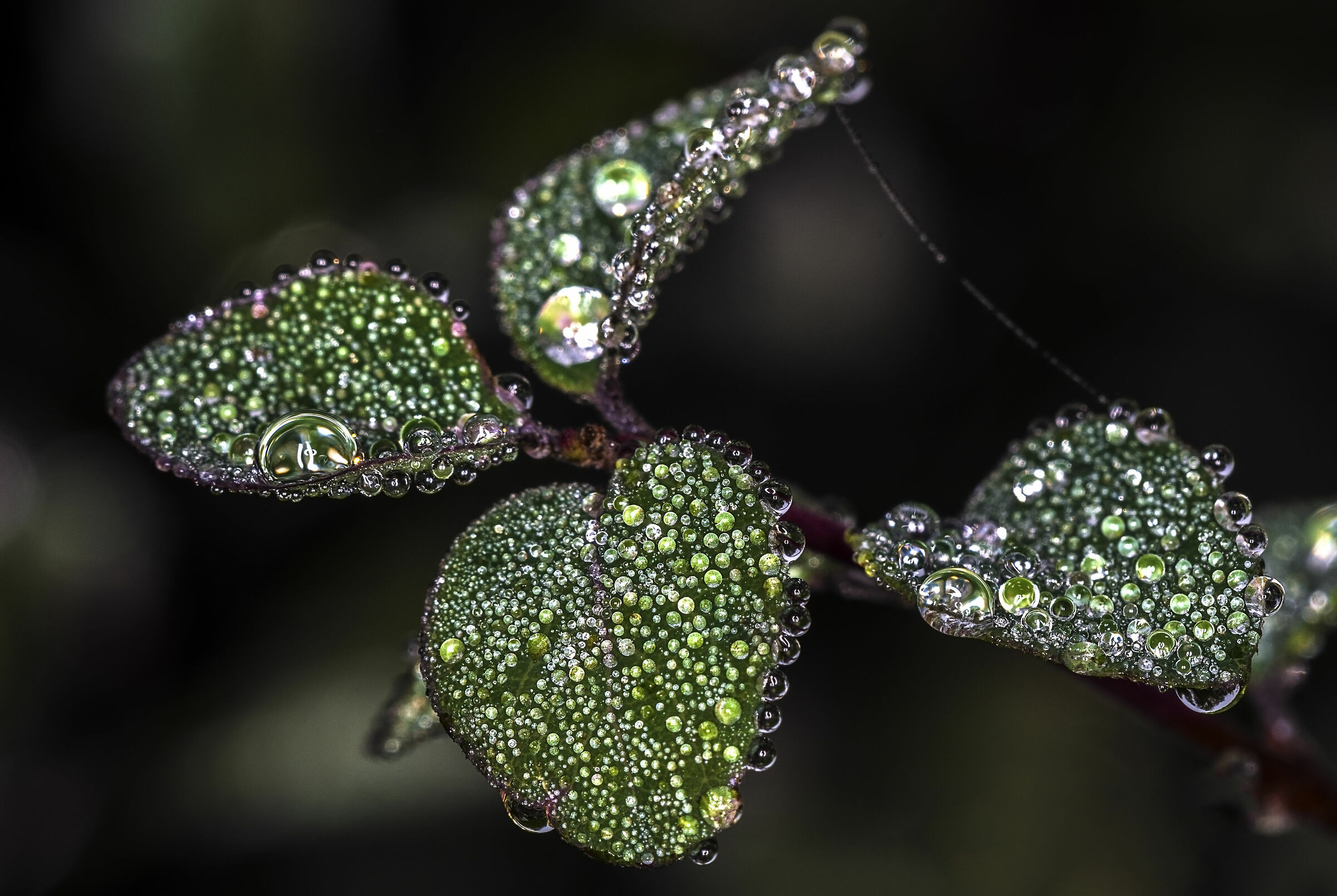 C'è di nuovo nebbia