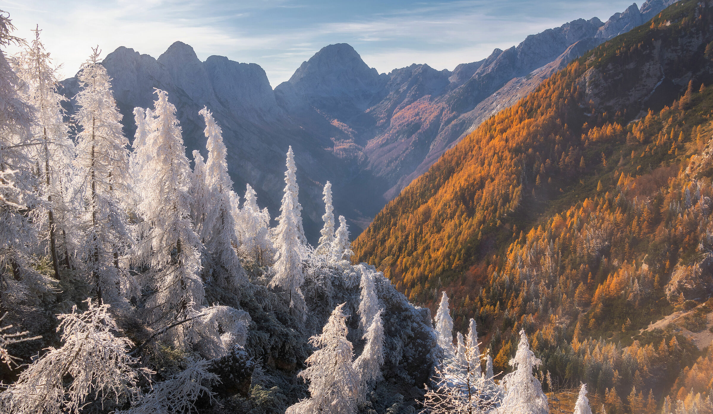 Collage of winter and autumn