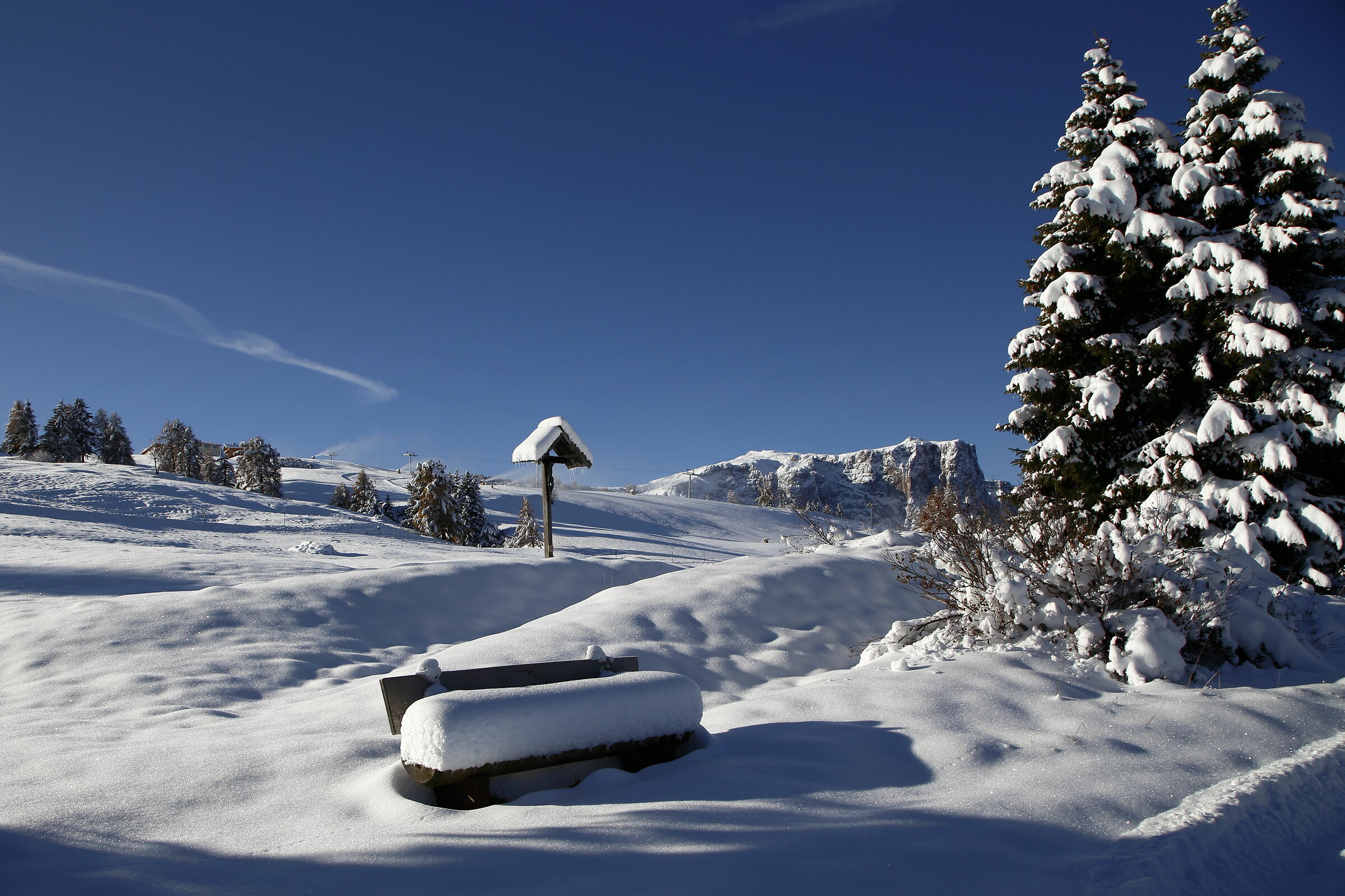 Yes...è arrivata la neveeeee!