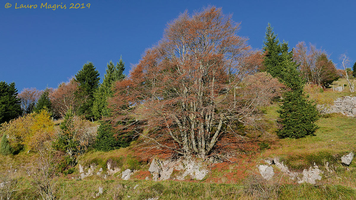Her Majesty and the Court