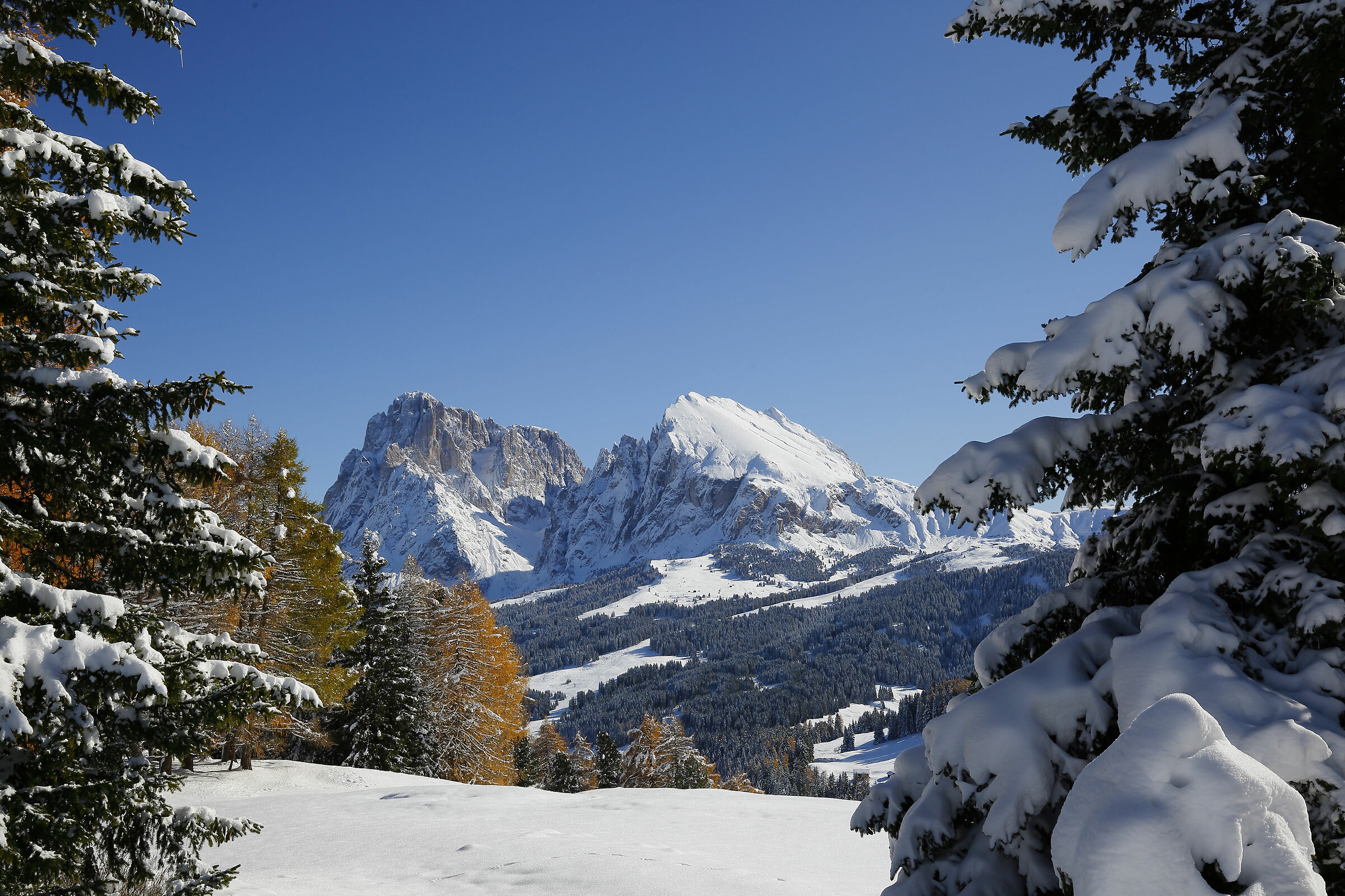 Long Stone and Sasso Plate from the Alpe di Siusi