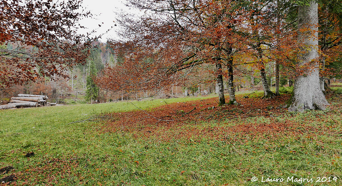 Colori in Pian Canaie