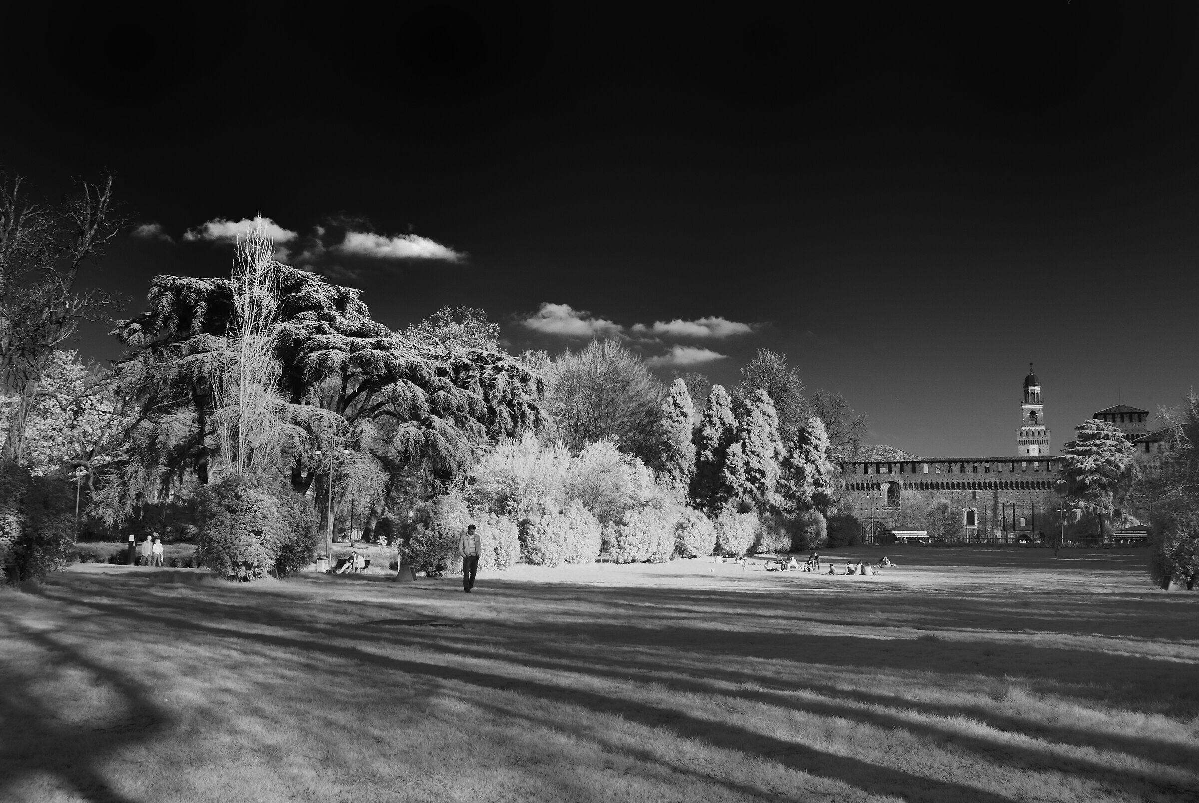 Infrarosso, parco Sempione