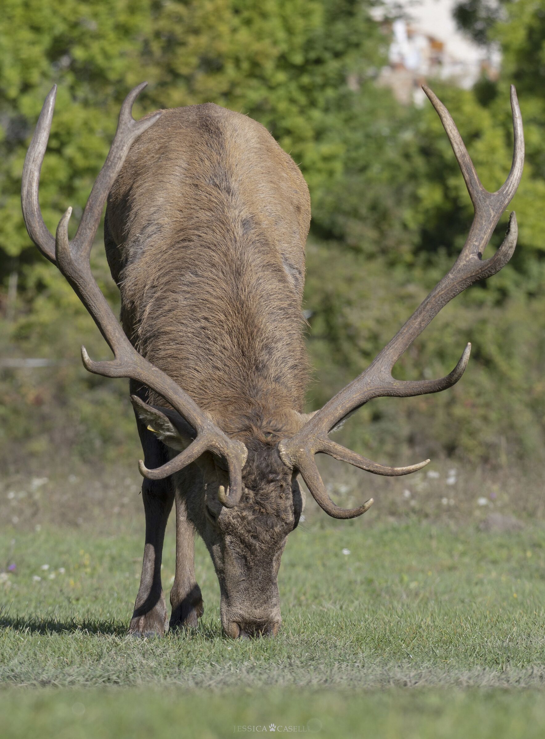 "The quiet after the storm"