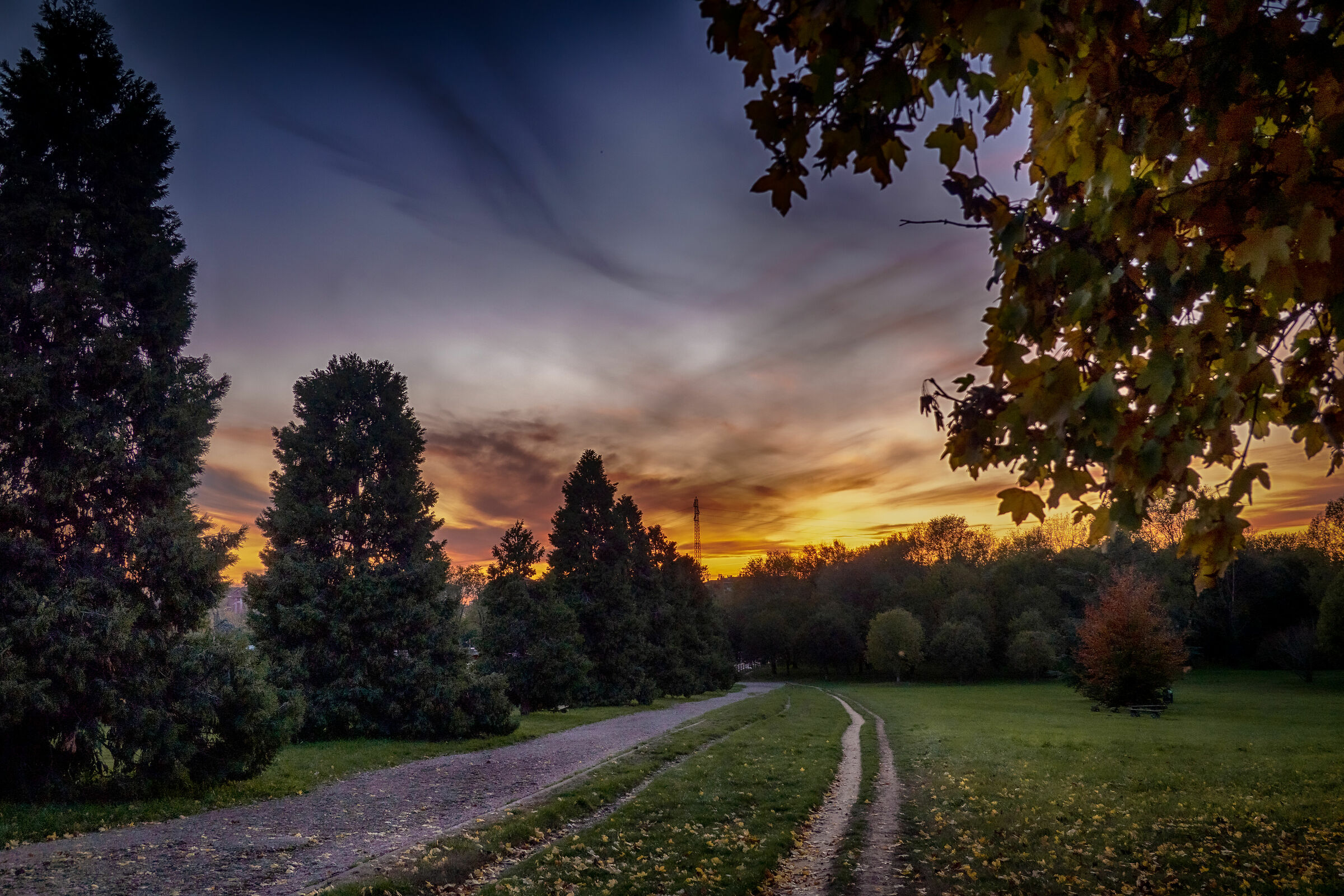Untitled Photo