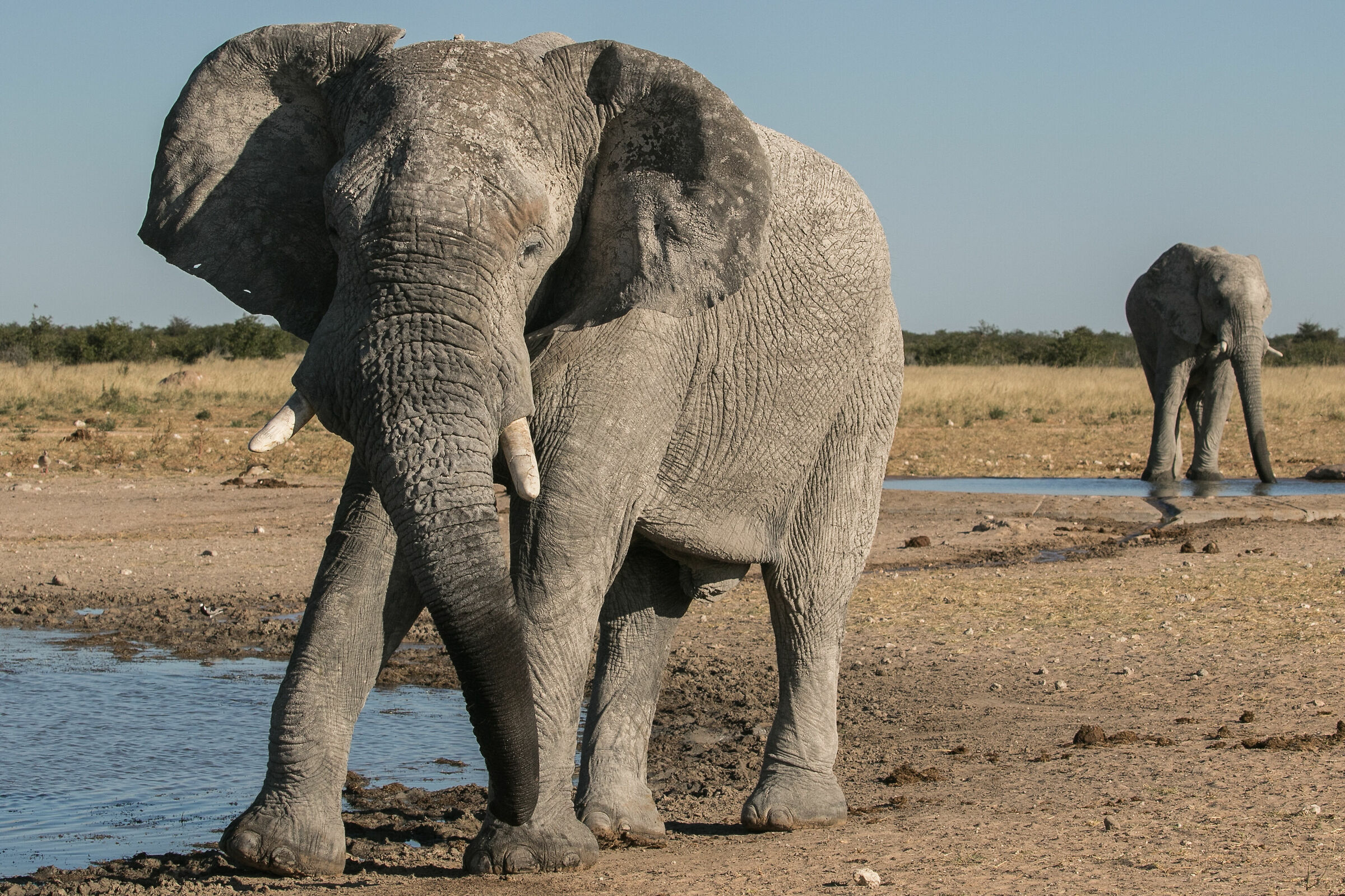 I just want to see who you are...