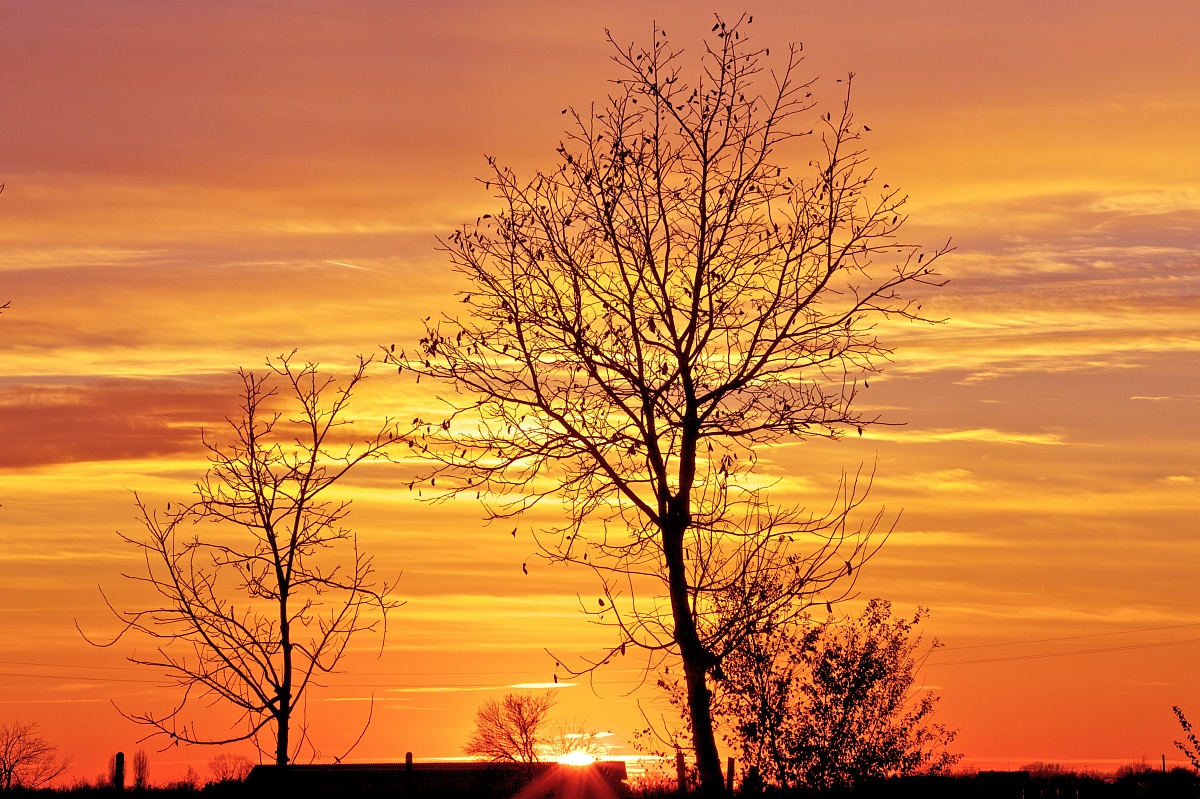 Tramonto in campagna
