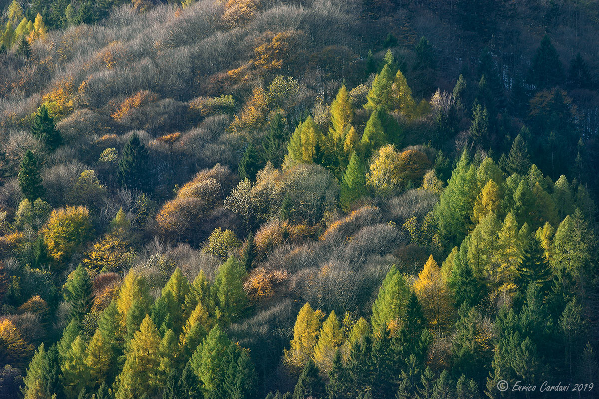 Patchwork in Undrum Schtald