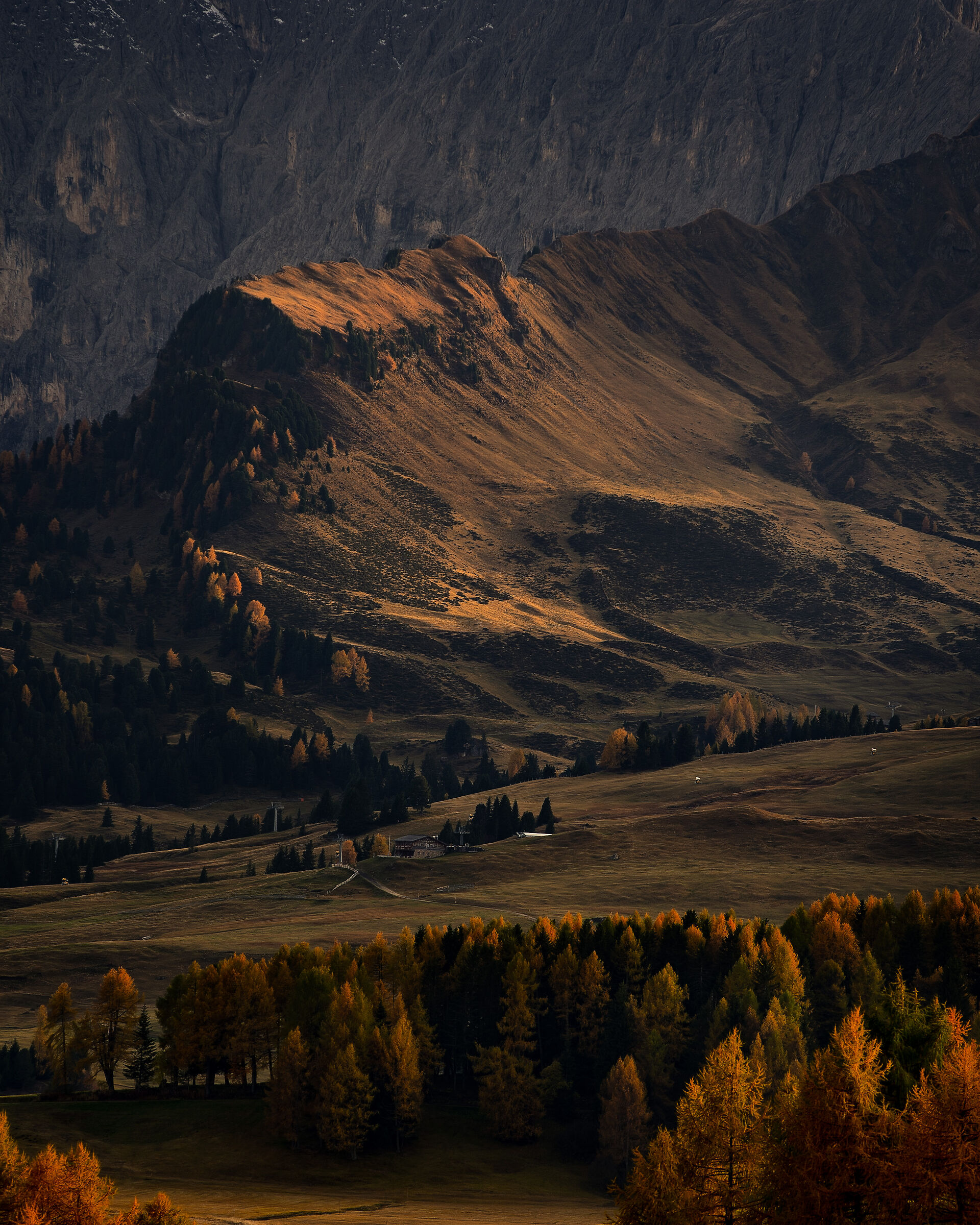 Alpe di Siusi