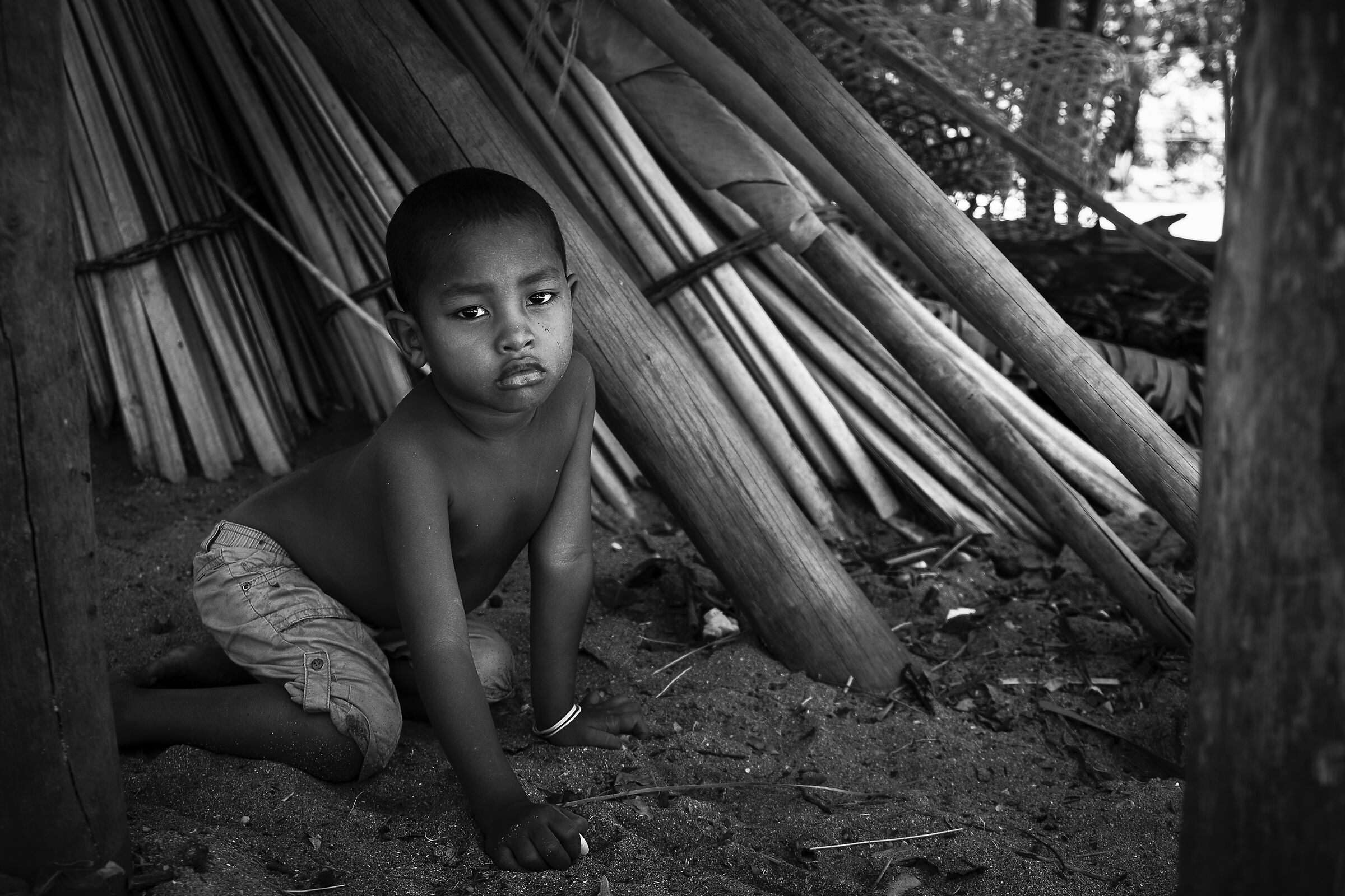 I figlio del Madagascar