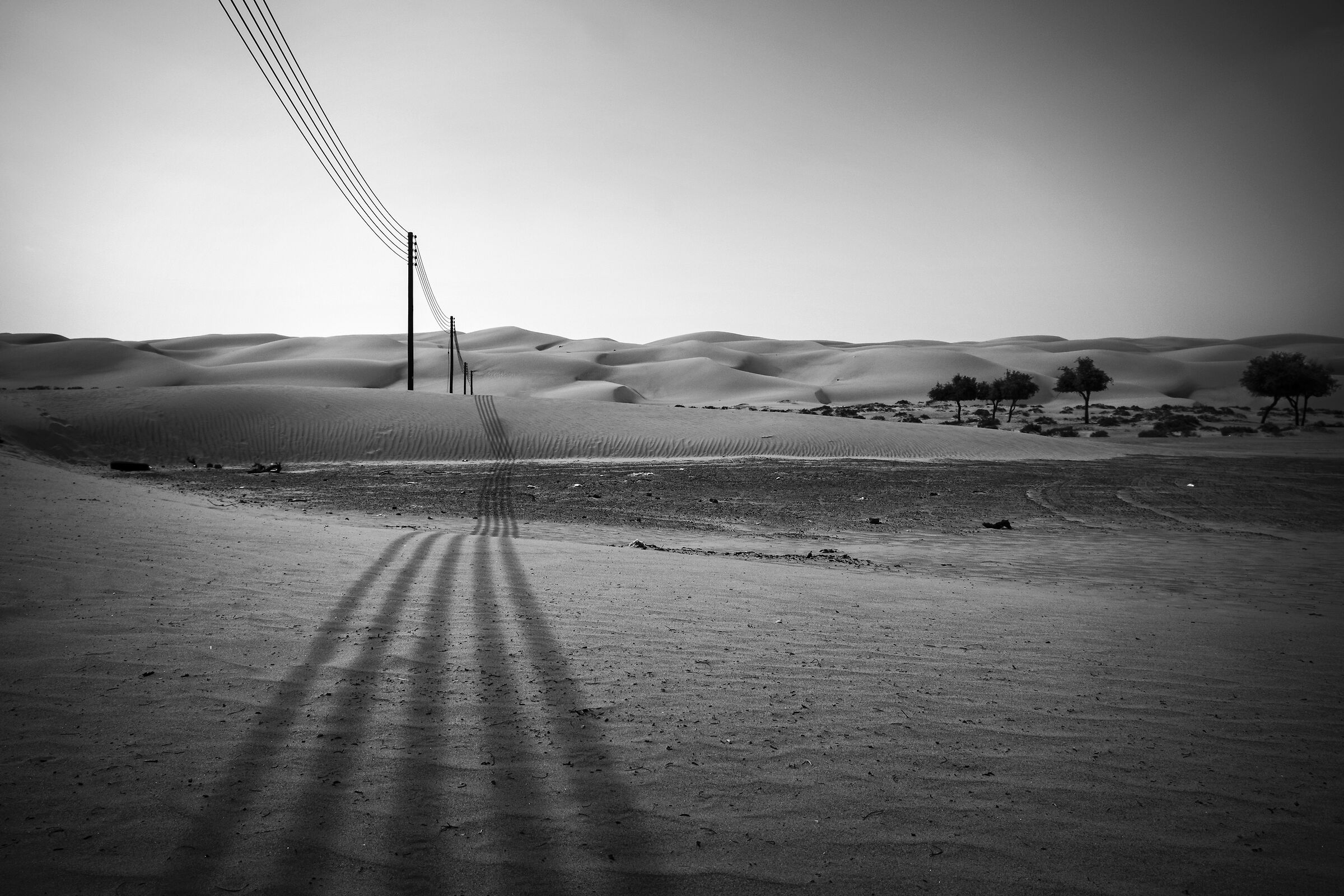 Lines to the desert