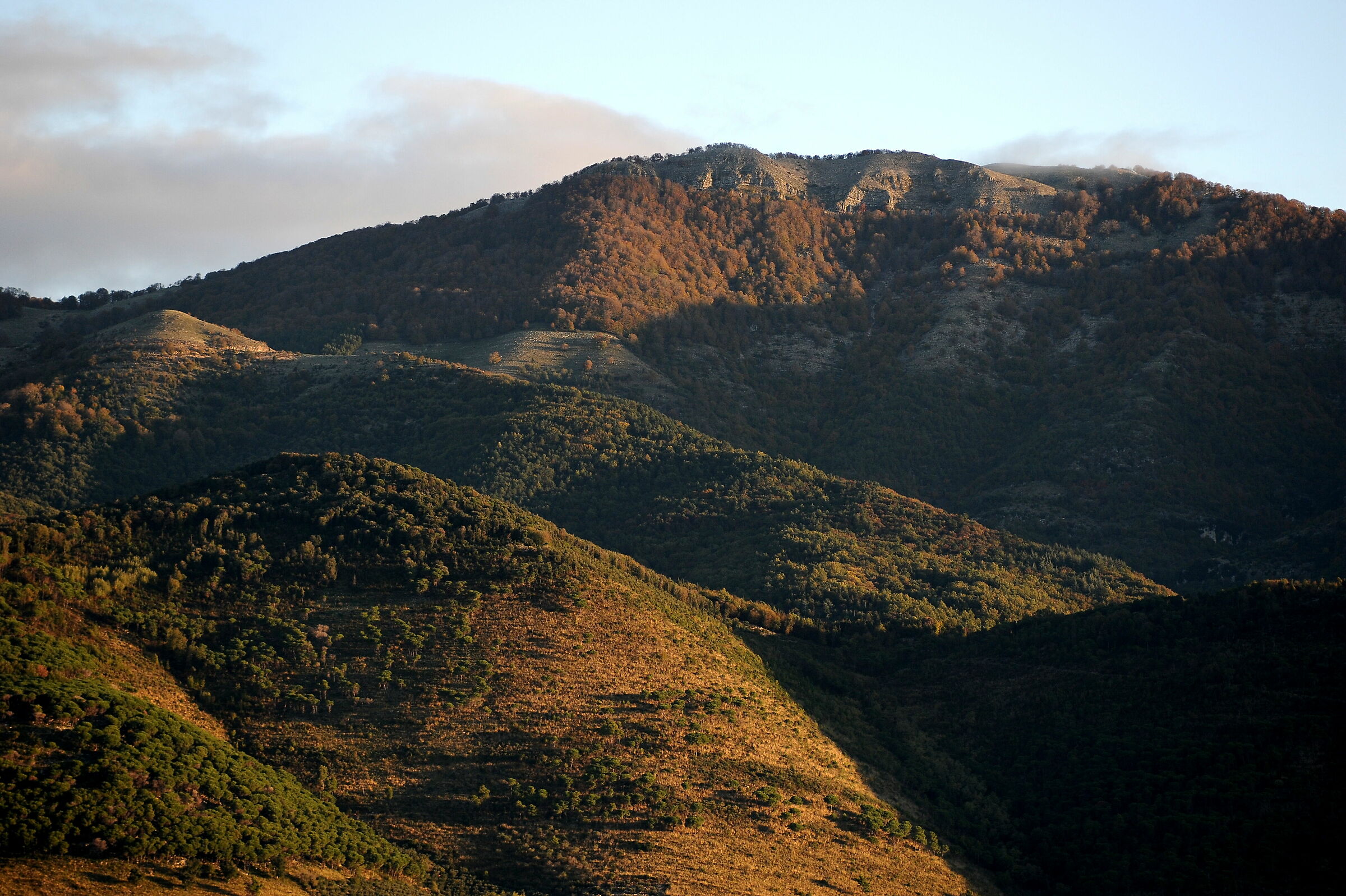 Autumn Shots (Mount Alwaysvisa - Top Nardi)