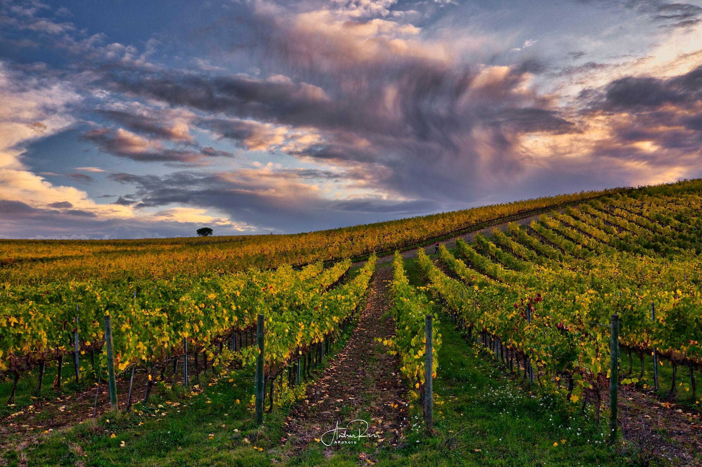 Autumn in Sagrantino