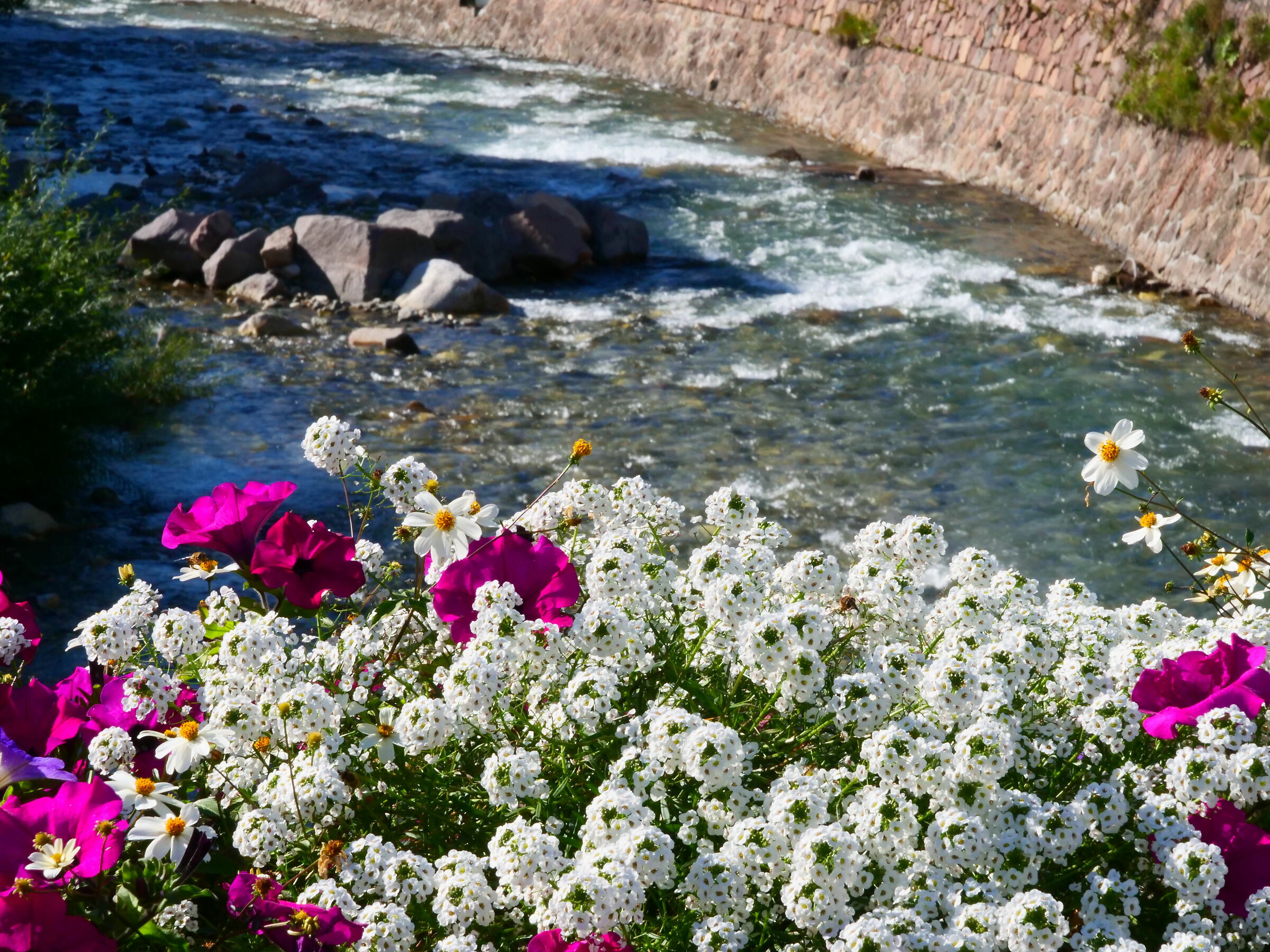 water and flowers