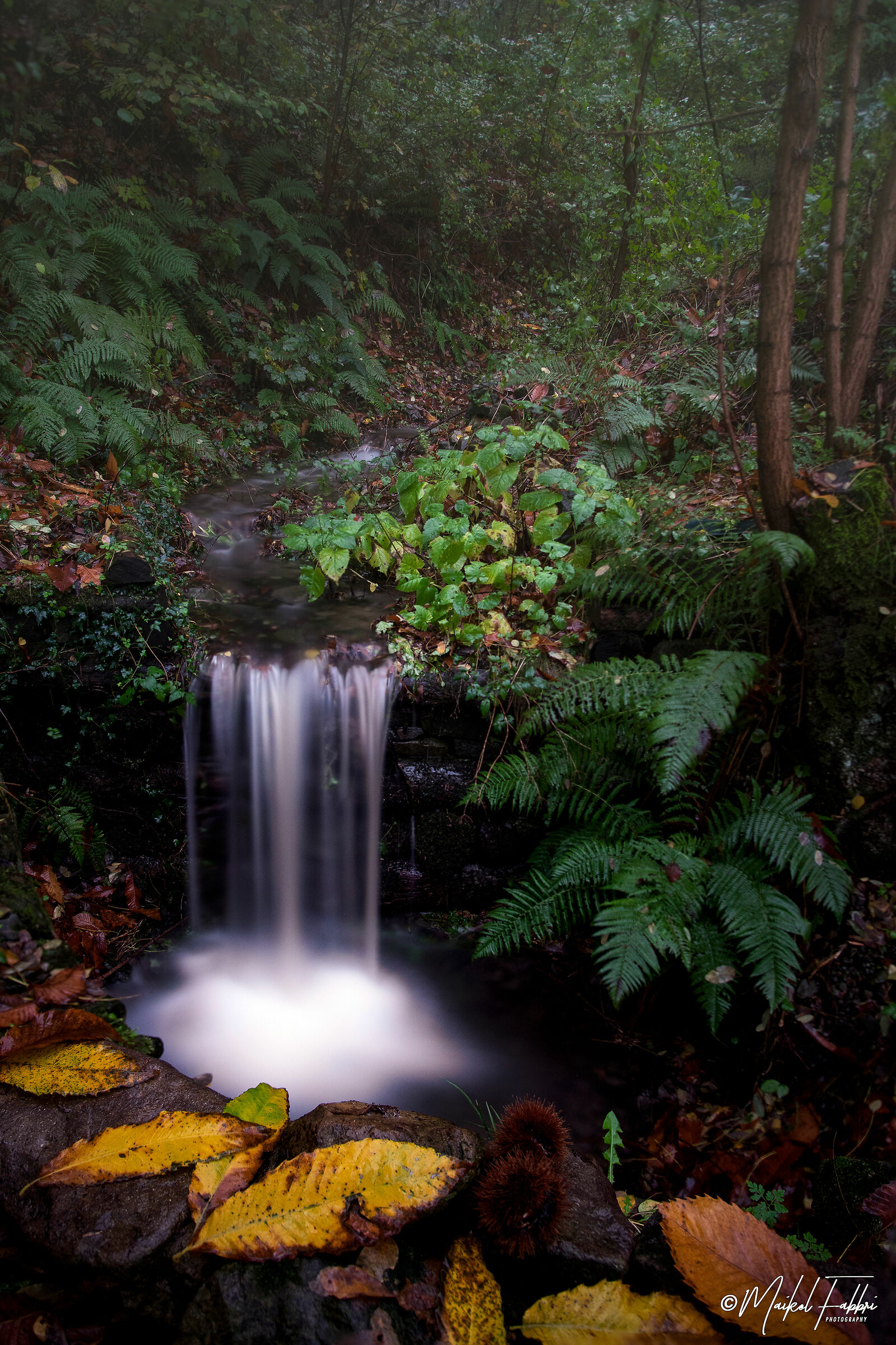 Classica composizione autunnale