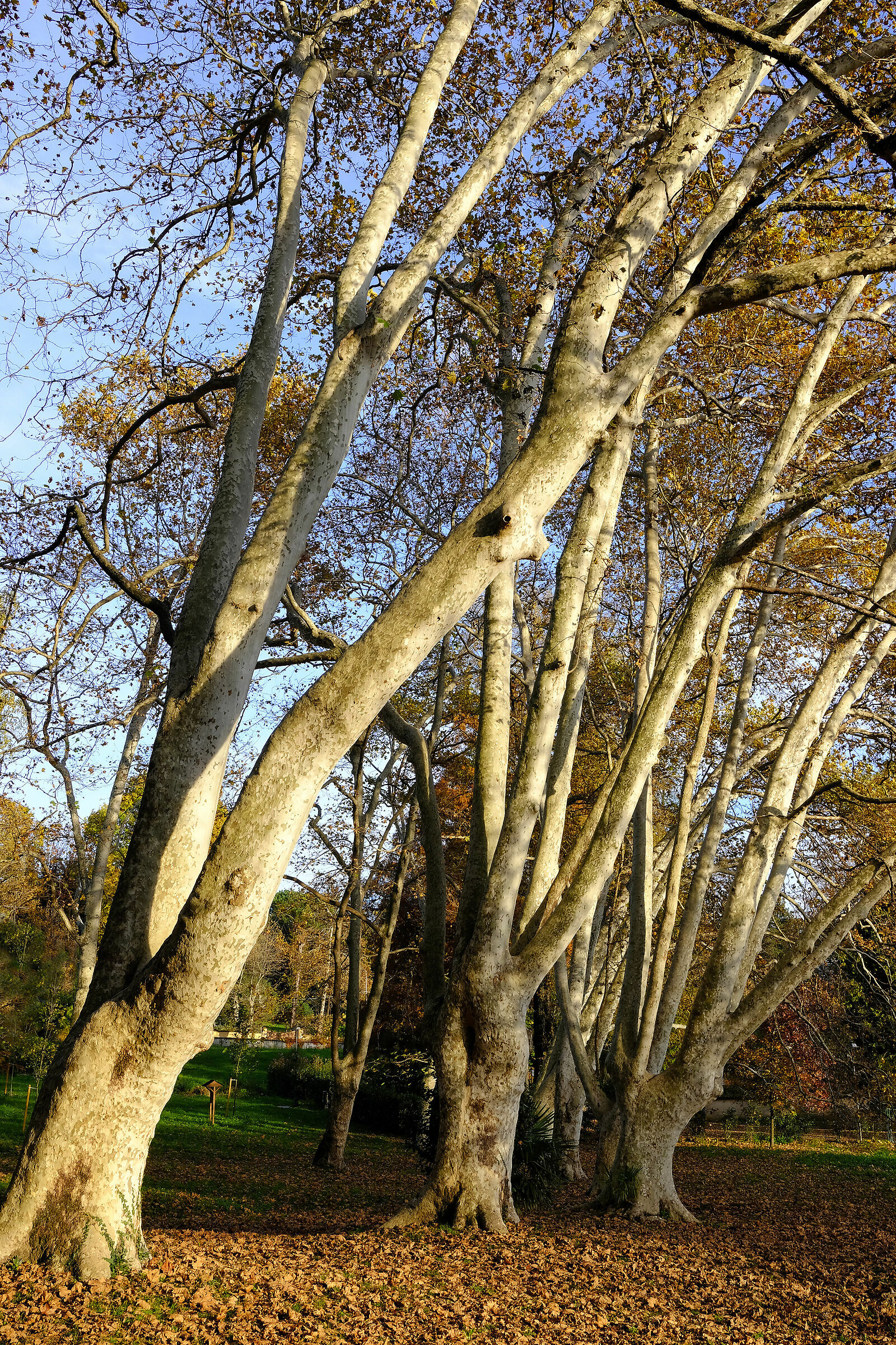 I'm going to turn...... but I don't break!